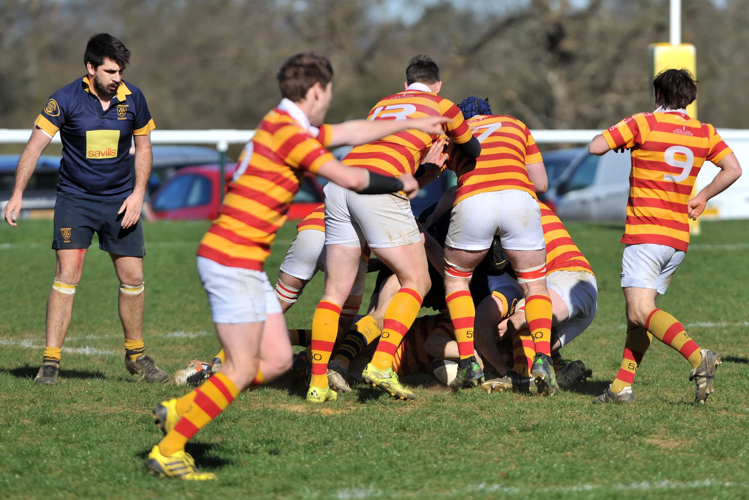 SEVENOAKS_ CHOBHAM_DP_20170325_035.JPG