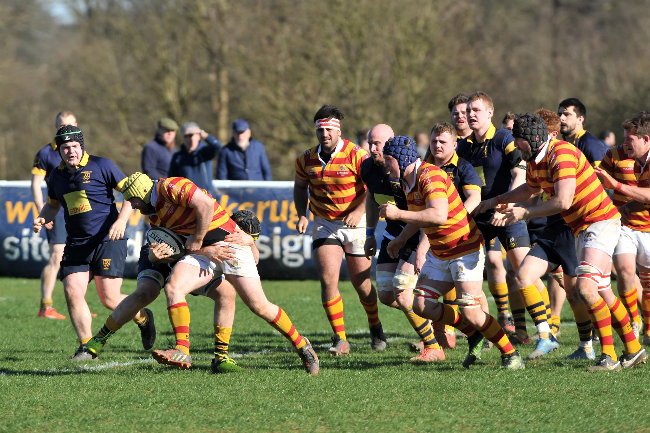 SEVENOAKS_ CHOBHAM_DP_20170325_043.JPG