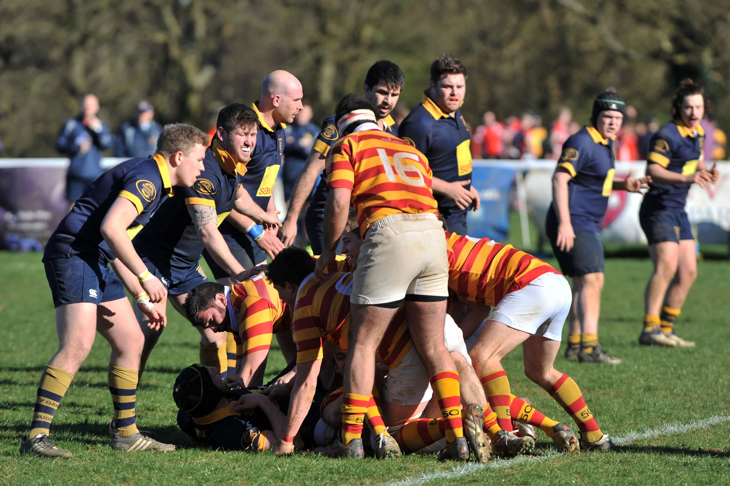 SEVENOAKS_ CHOBHAM_DP_20170325_059.JPG