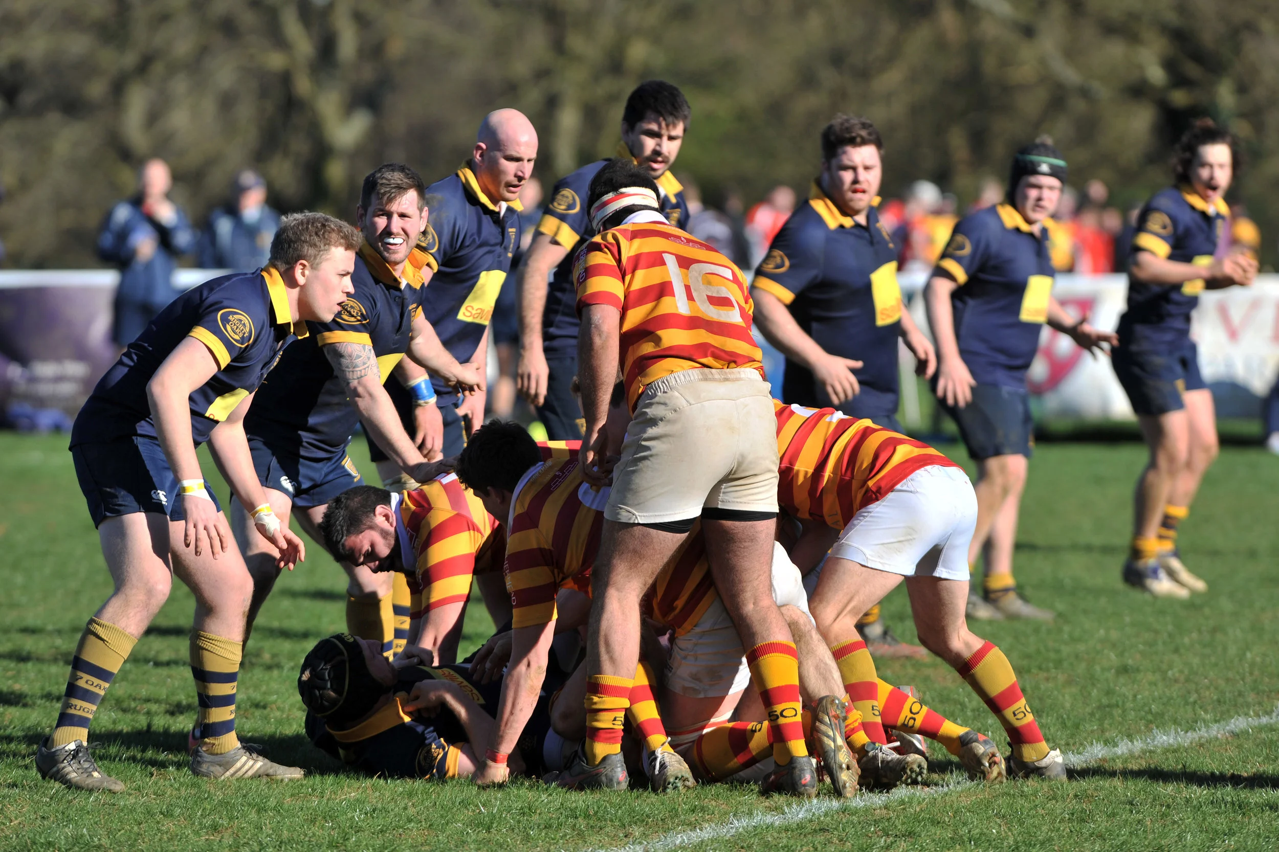 SEVENOAKS_ CHOBHAM_DP_20170325_060.JPG