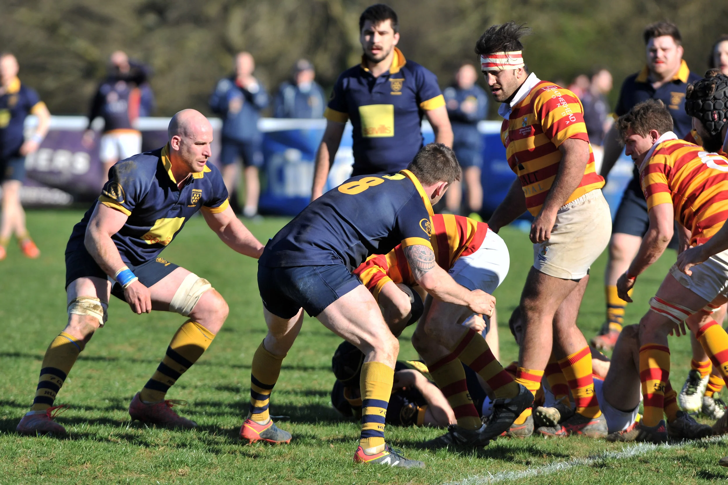 SEVENOAKS_ CHOBHAM_DP_20170325_061.JPG