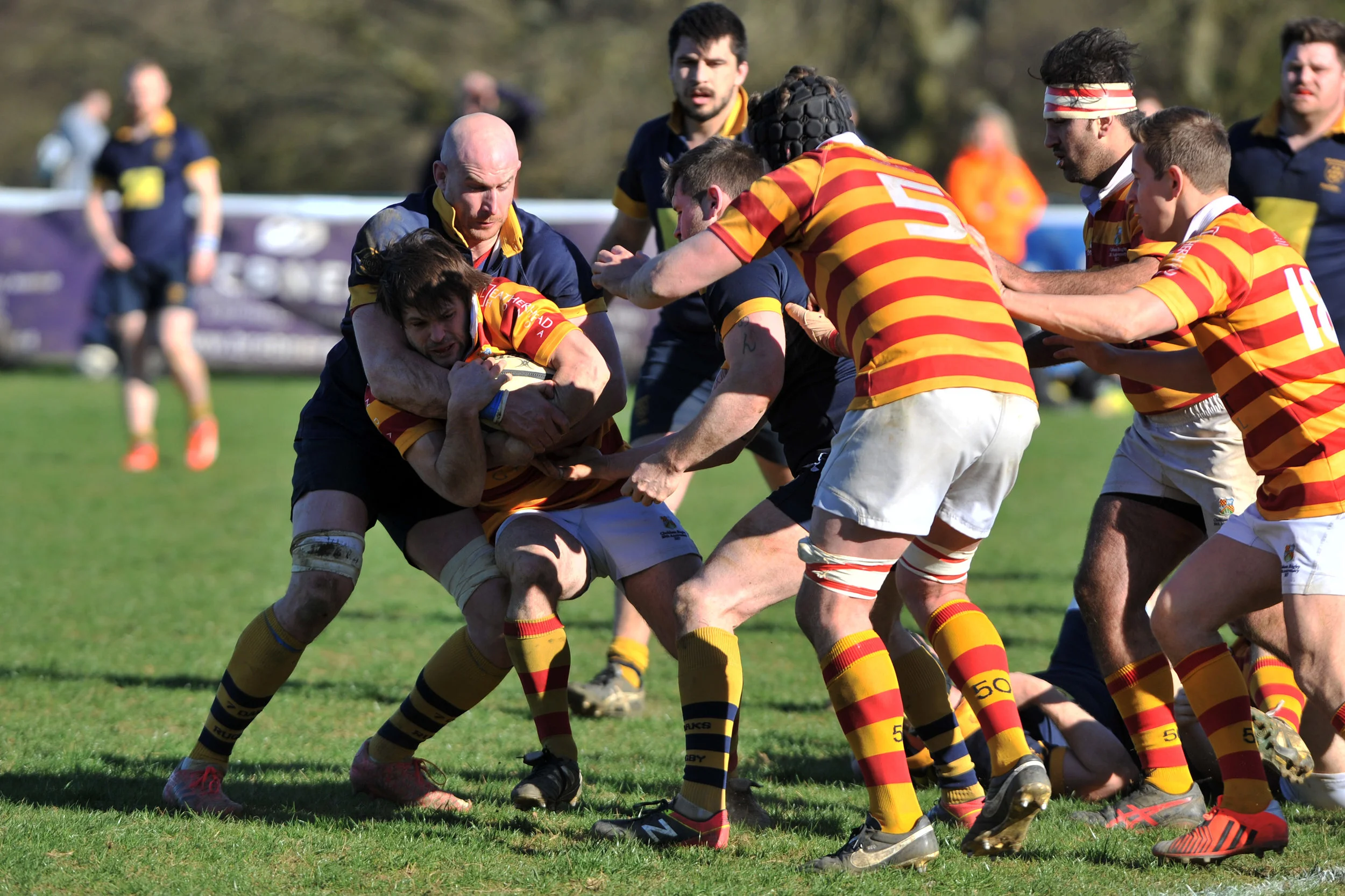 SEVENOAKS_ CHOBHAM_DP_20170325_063.JPG