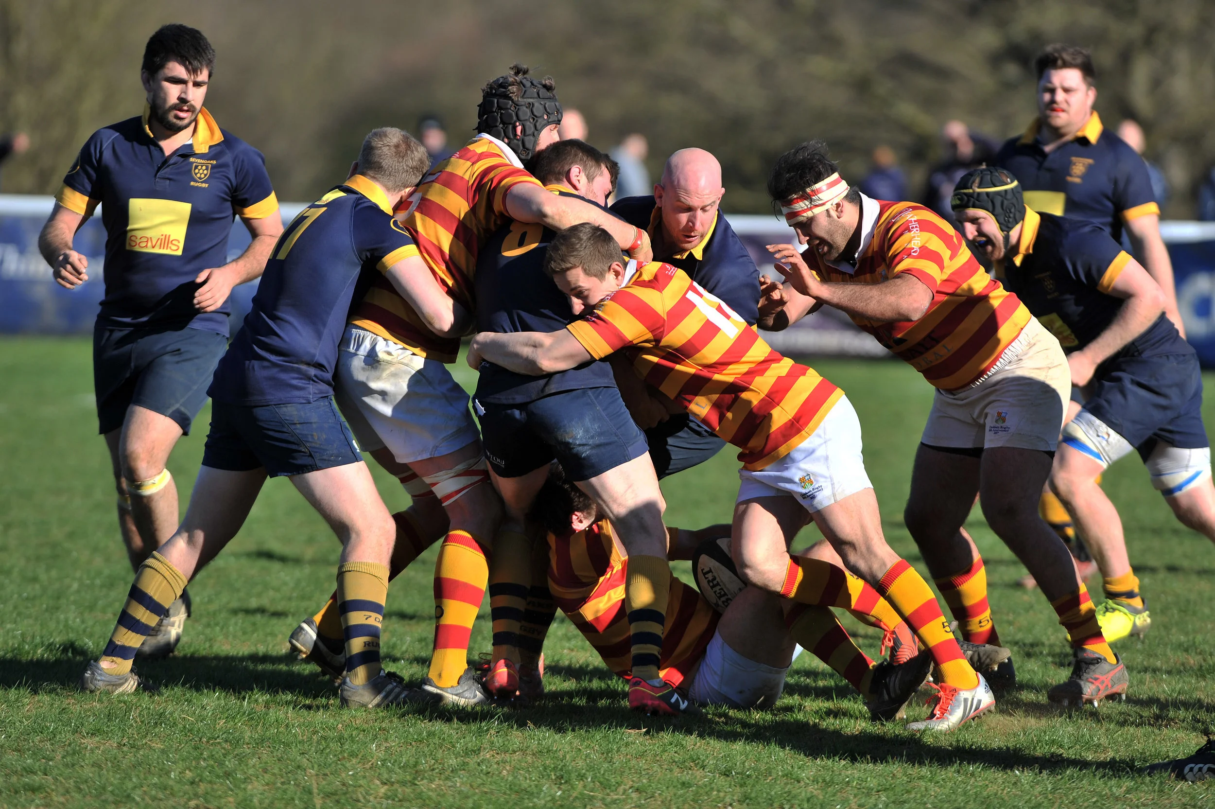 SEVENOAKS_ CHOBHAM_DP_20170325_064.JPG