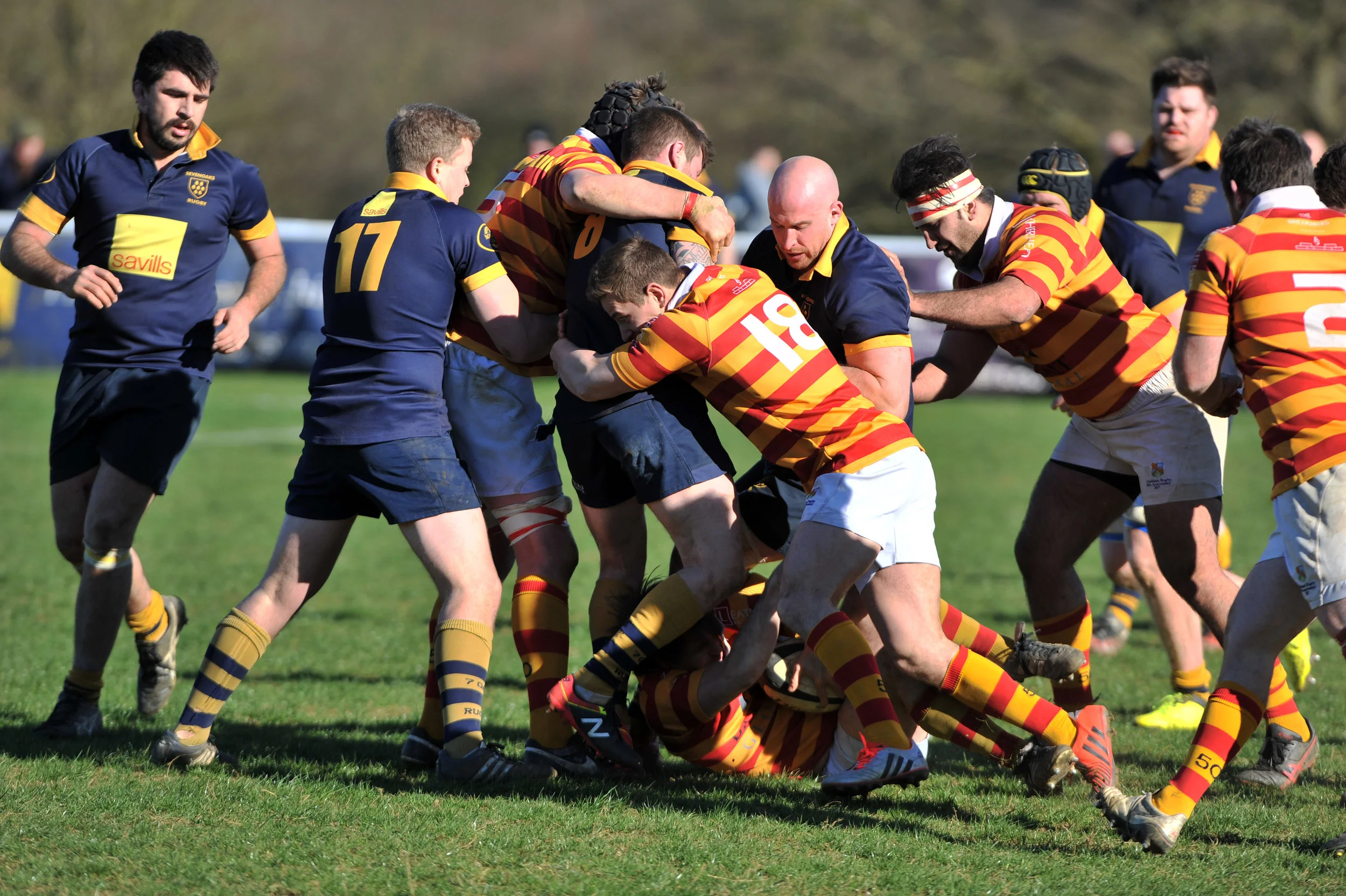 SEVENOAKS_ CHOBHAM_DP_20170325_065.JPG