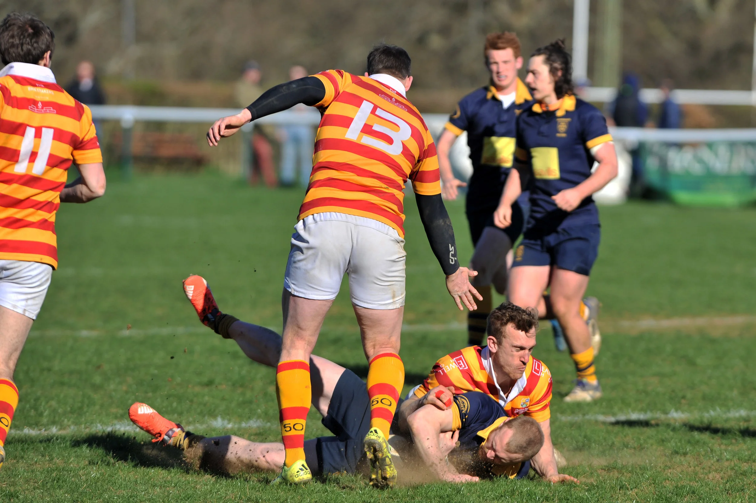 SEVENOAKS_ CHOBHAM_DP_20170325_067.JPG