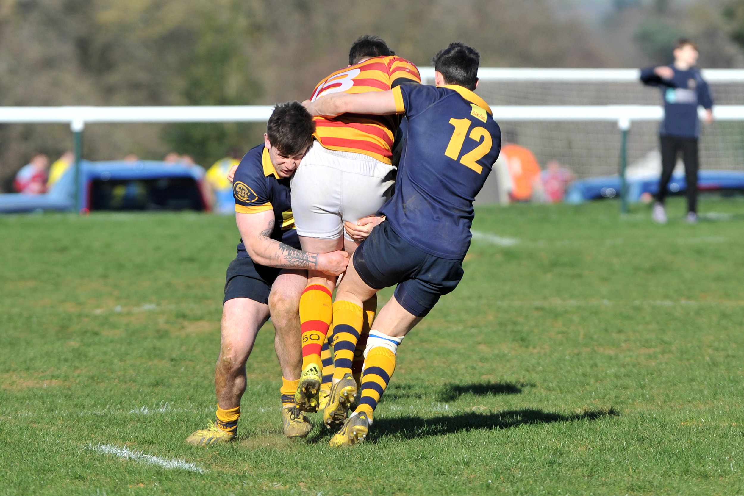 SEVENOAKS_ CHOBHAM_DP_20170325_071.JPG