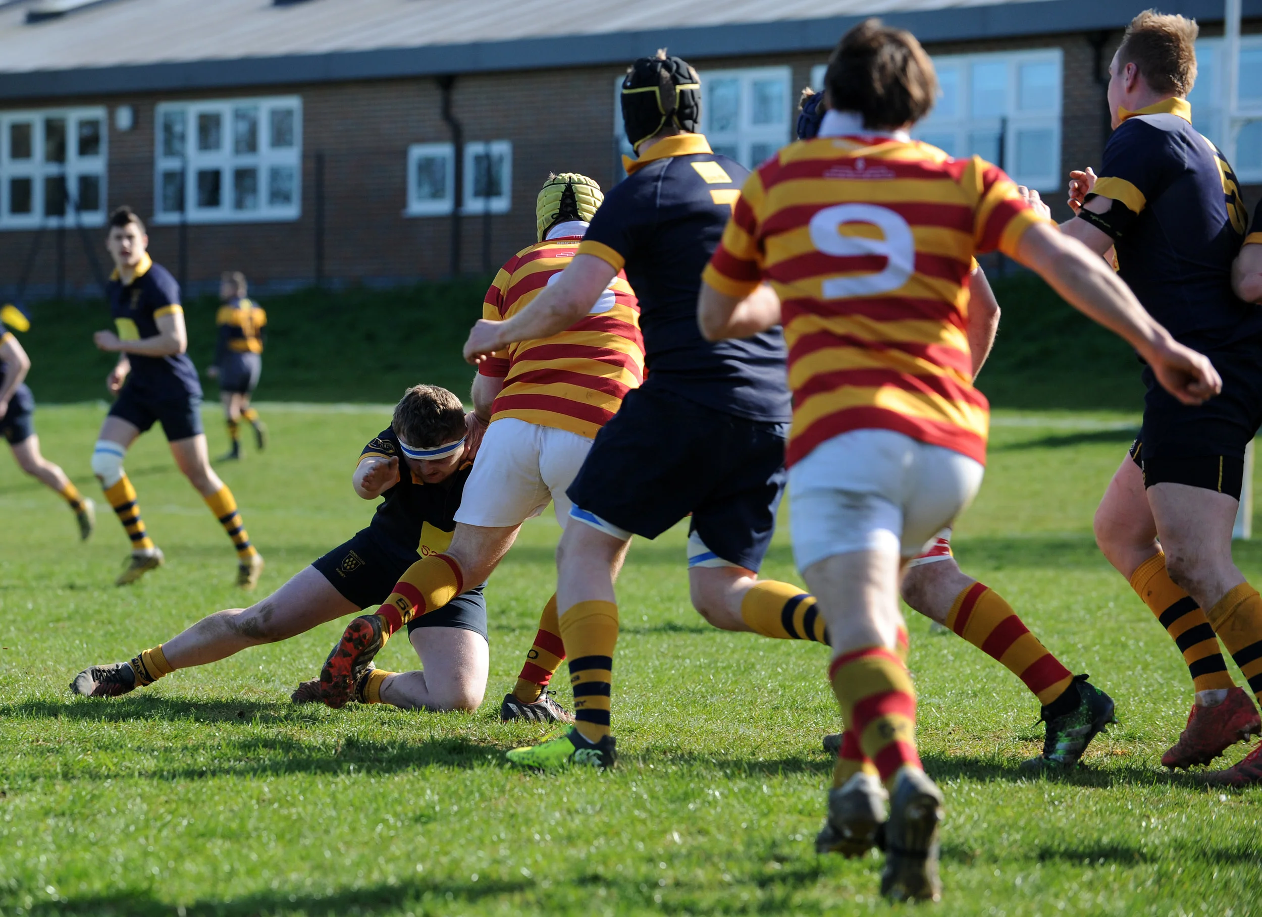 SEVENOAKS_ CHOBHAM_DP_20170325_075.JPG