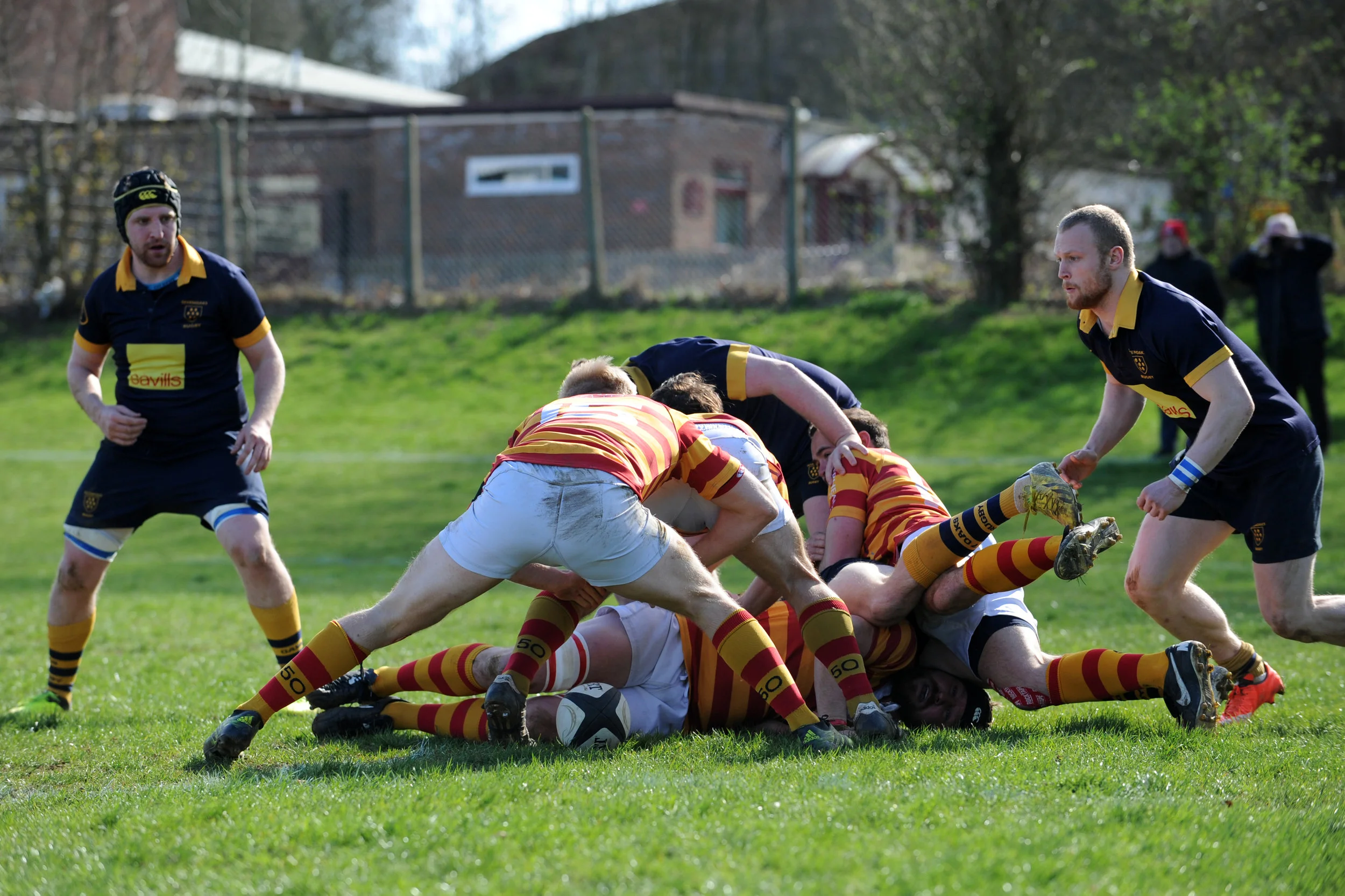 SEVENOAKS_ CHOBHAM_DP_20170325_076.JPG