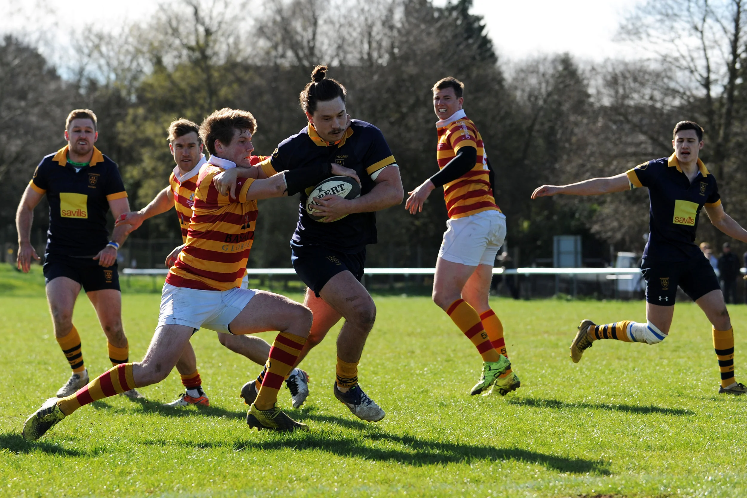 SEVENOAKS_ CHOBHAM_DP_20170325_081.JPG