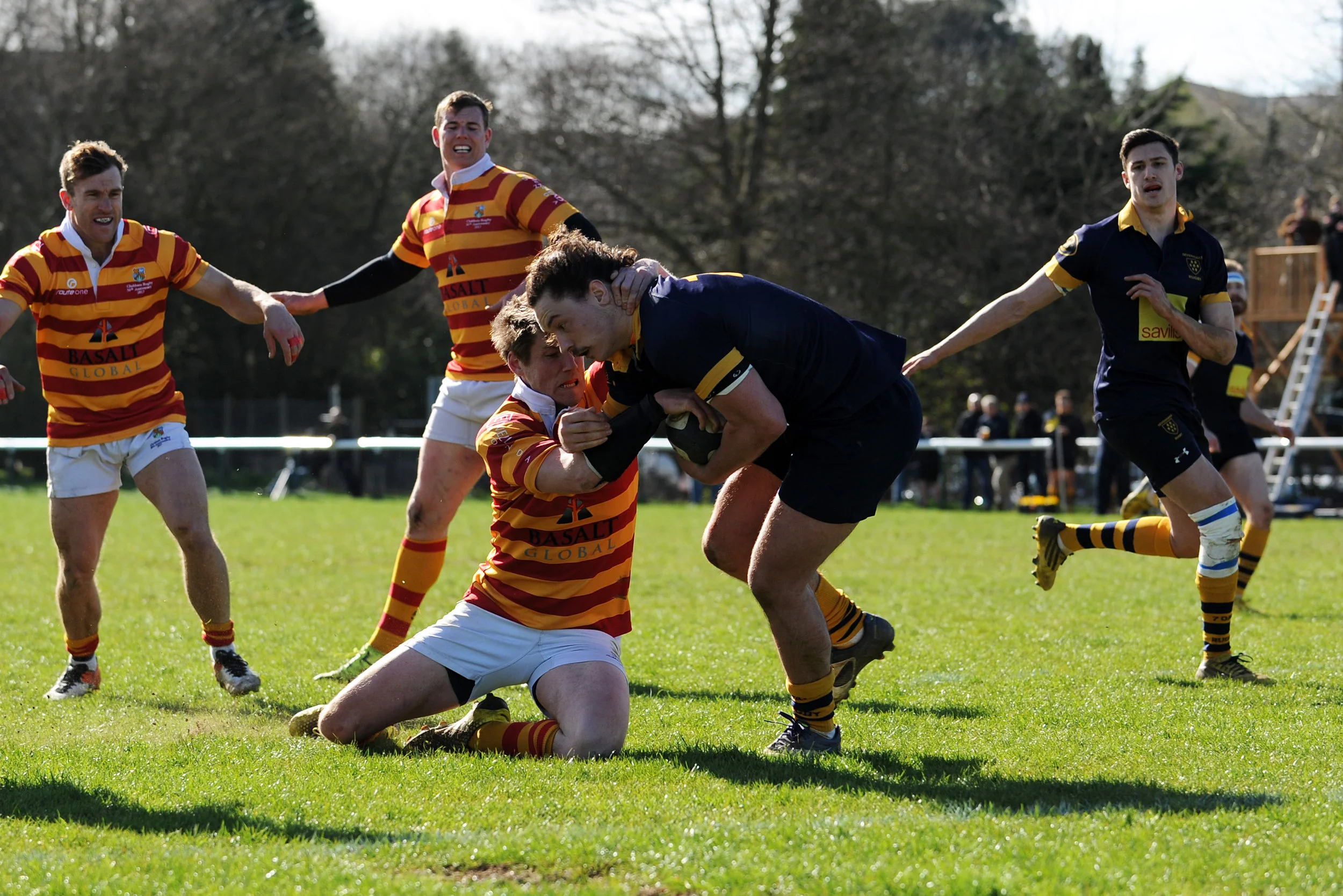 SEVENOAKS_ CHOBHAM_DP_20170325_083.JPG