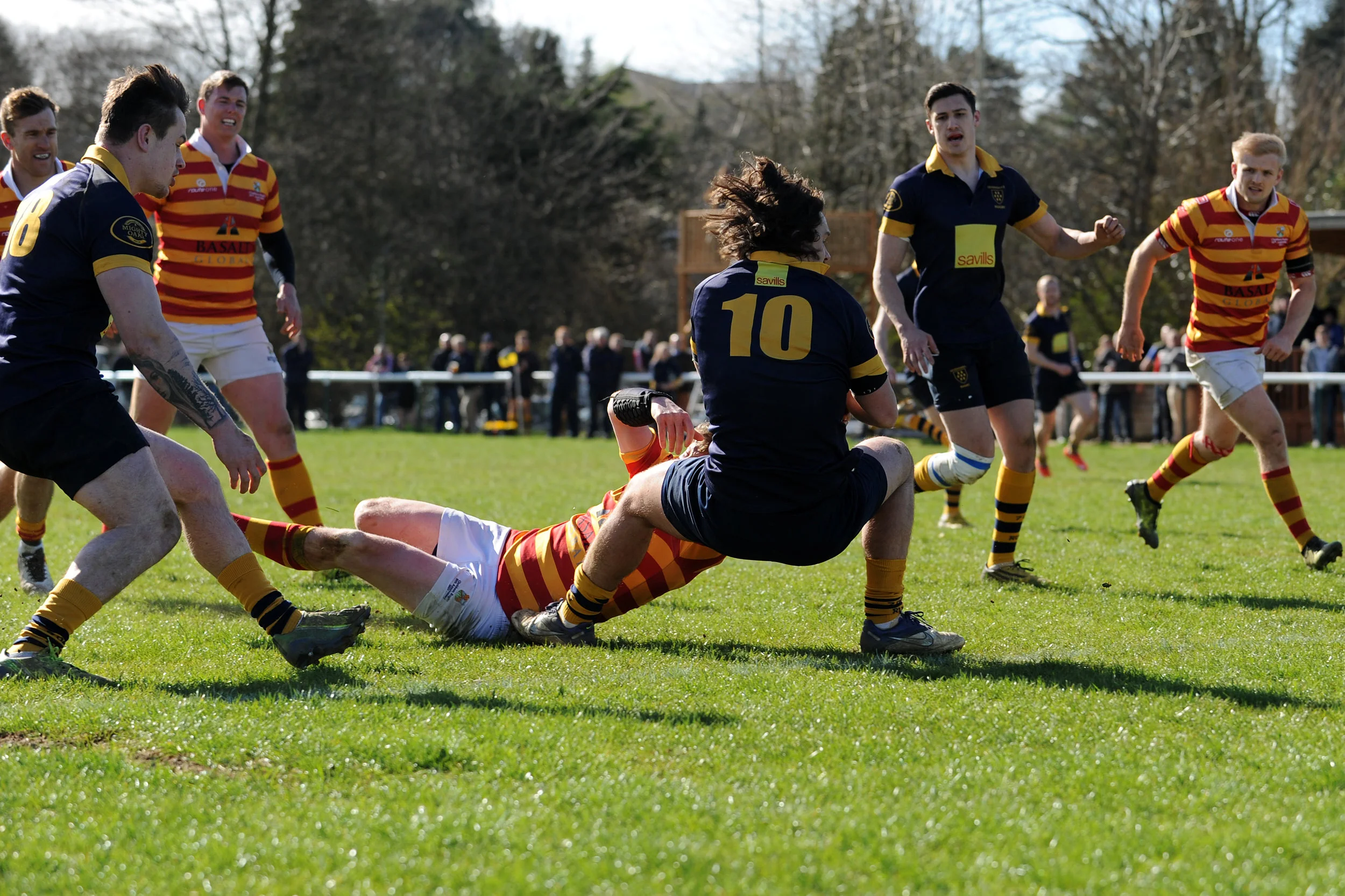 SEVENOAKS_ CHOBHAM_DP_20170325_084.JPG