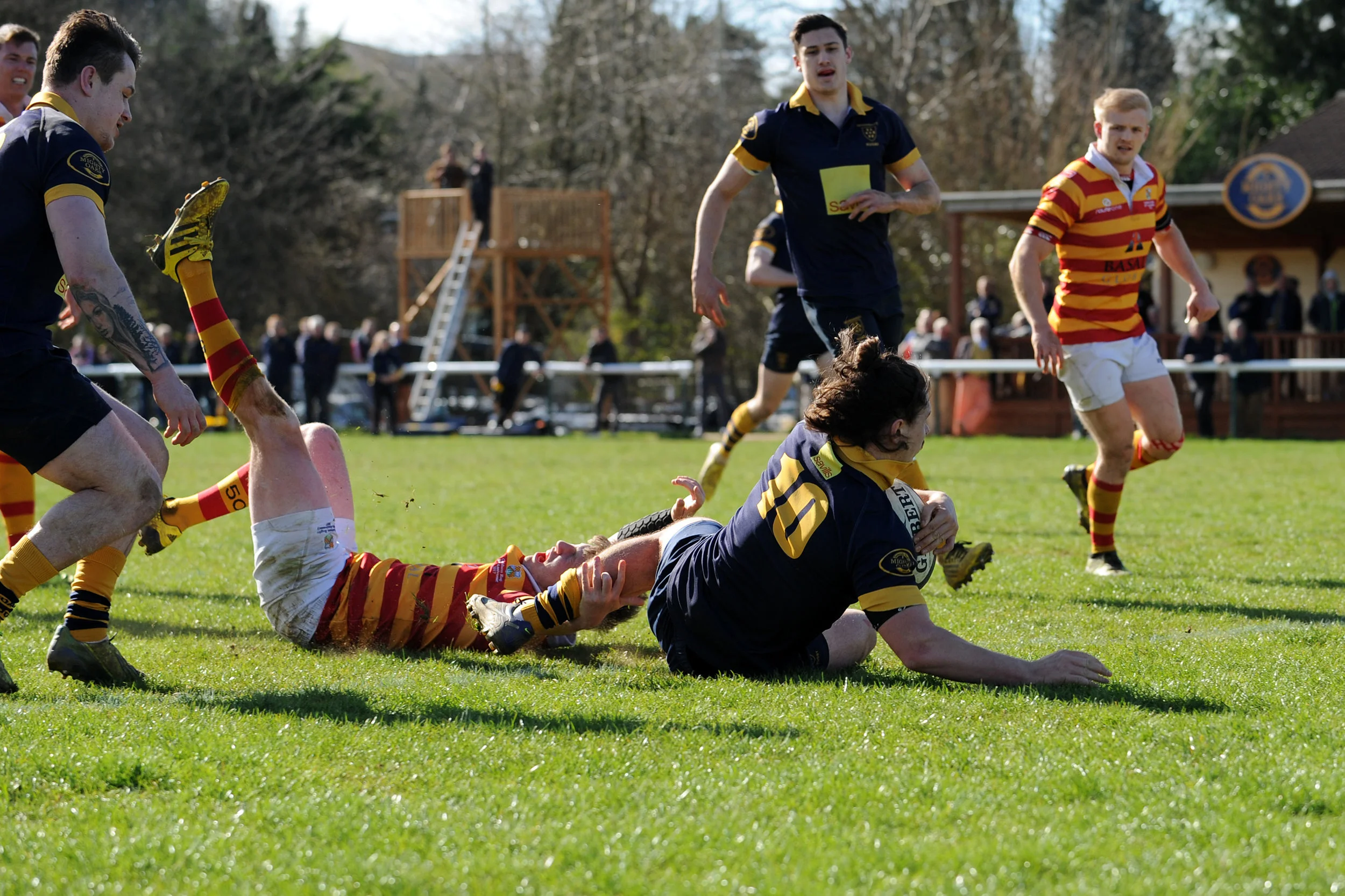 SEVENOAKS_ CHOBHAM_DP_20170325_085.JPG