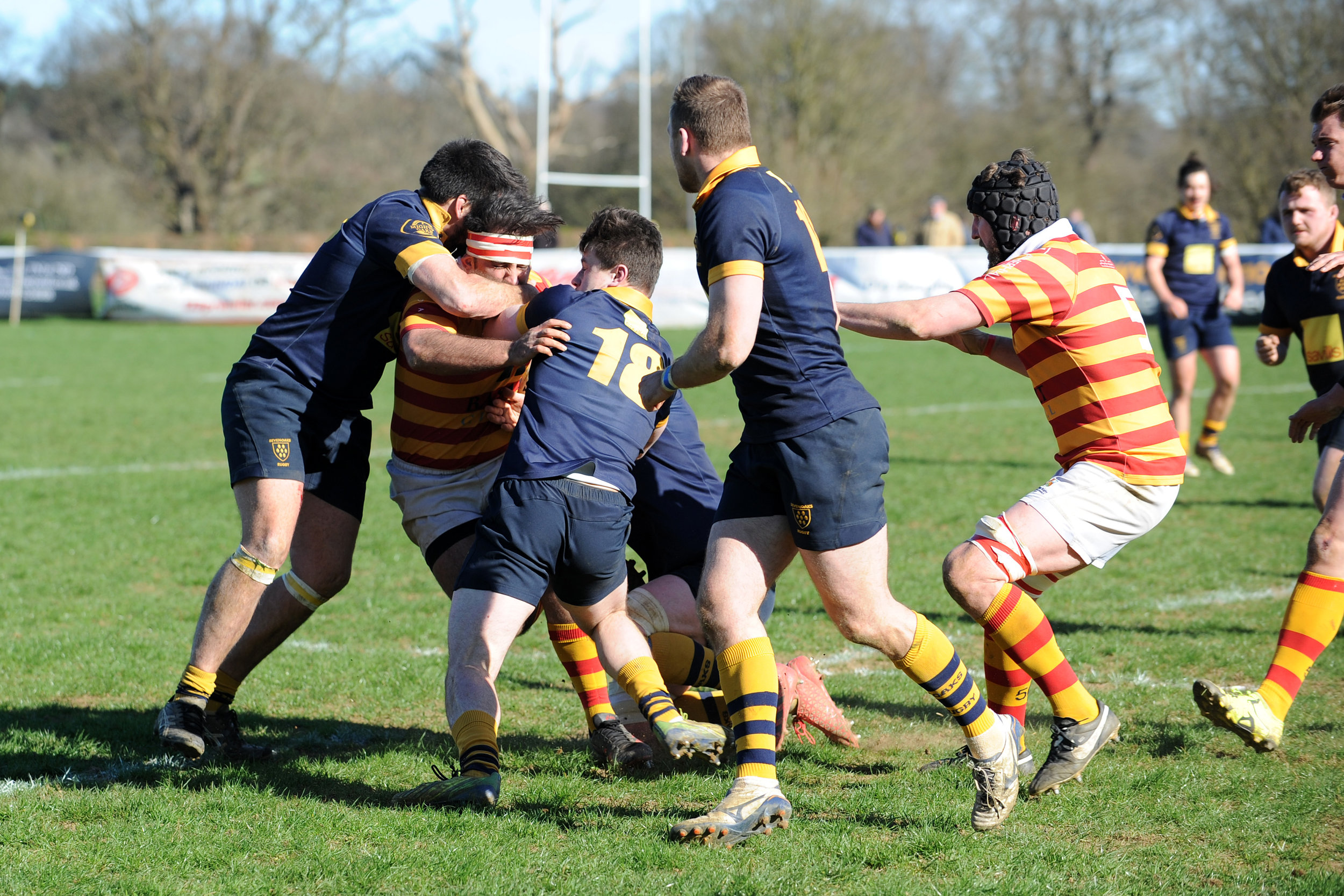 SEVENOAKS_ CHOBHAM_DP_20170325_087.JPG