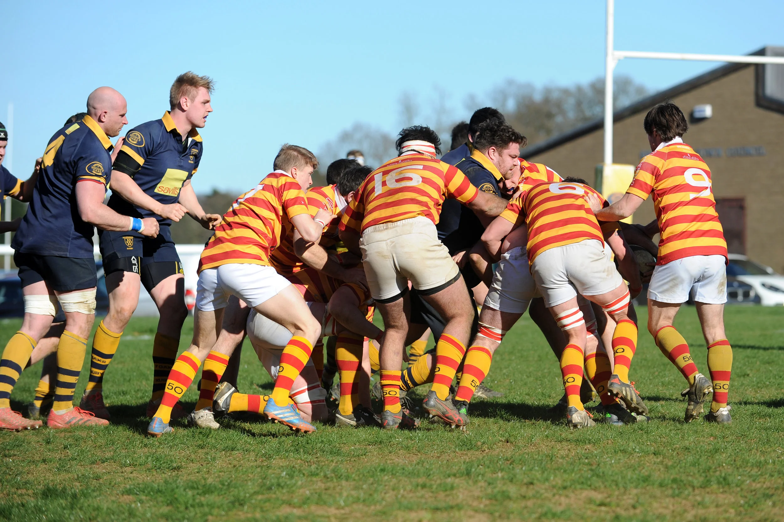 SEVENOAKS_ CHOBHAM_DP_20170325_089.JPG