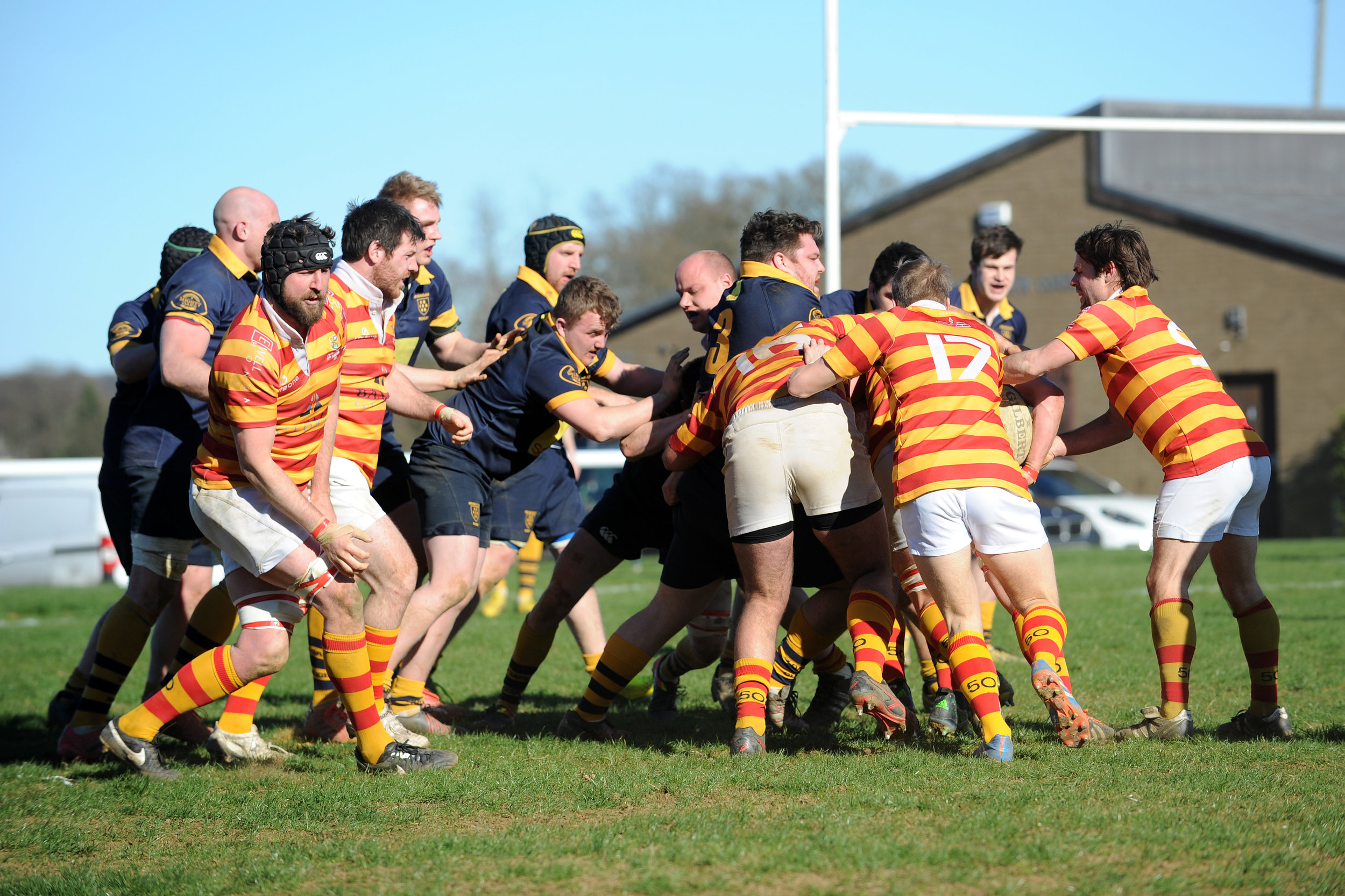 SEVENOAKS_ CHOBHAM_DP_20170325_090.JPG