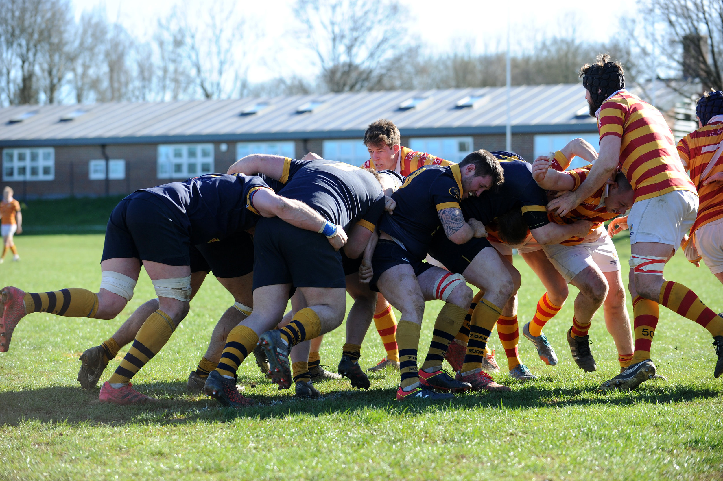 SEVENOAKS_ CHOBHAM_DP_20170325_099.JPG