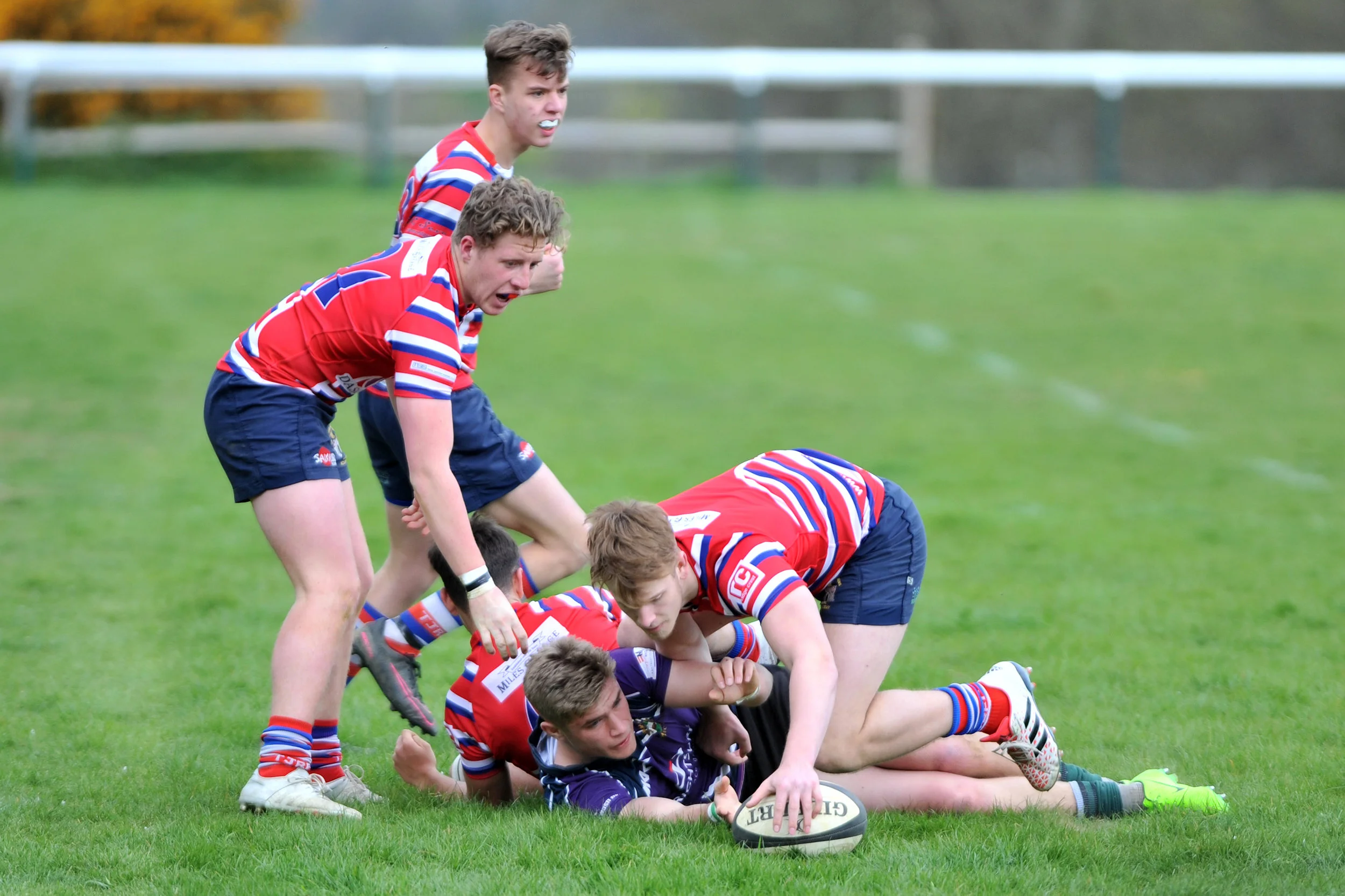 GAME 2_DP_20170416_019.JPG