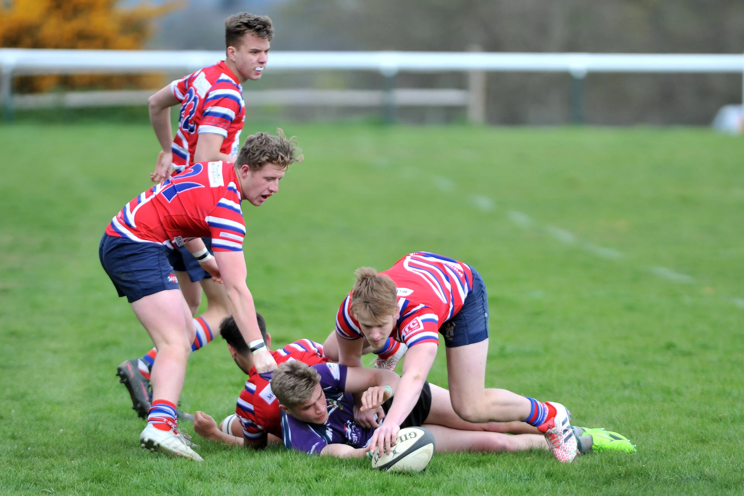 GAME 2_DP_20170416_018.JPG