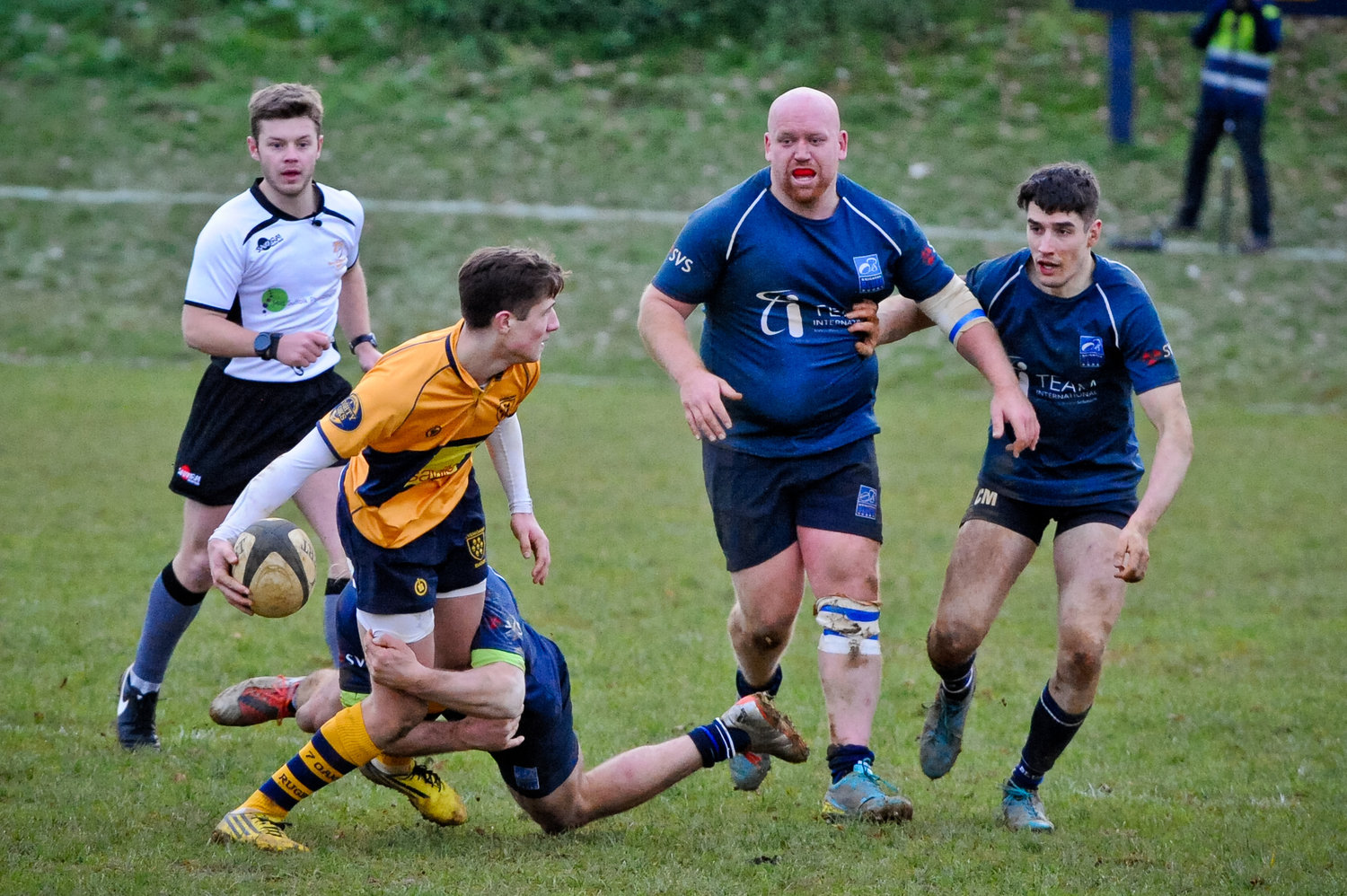 First XV - Brighton Blues - Away