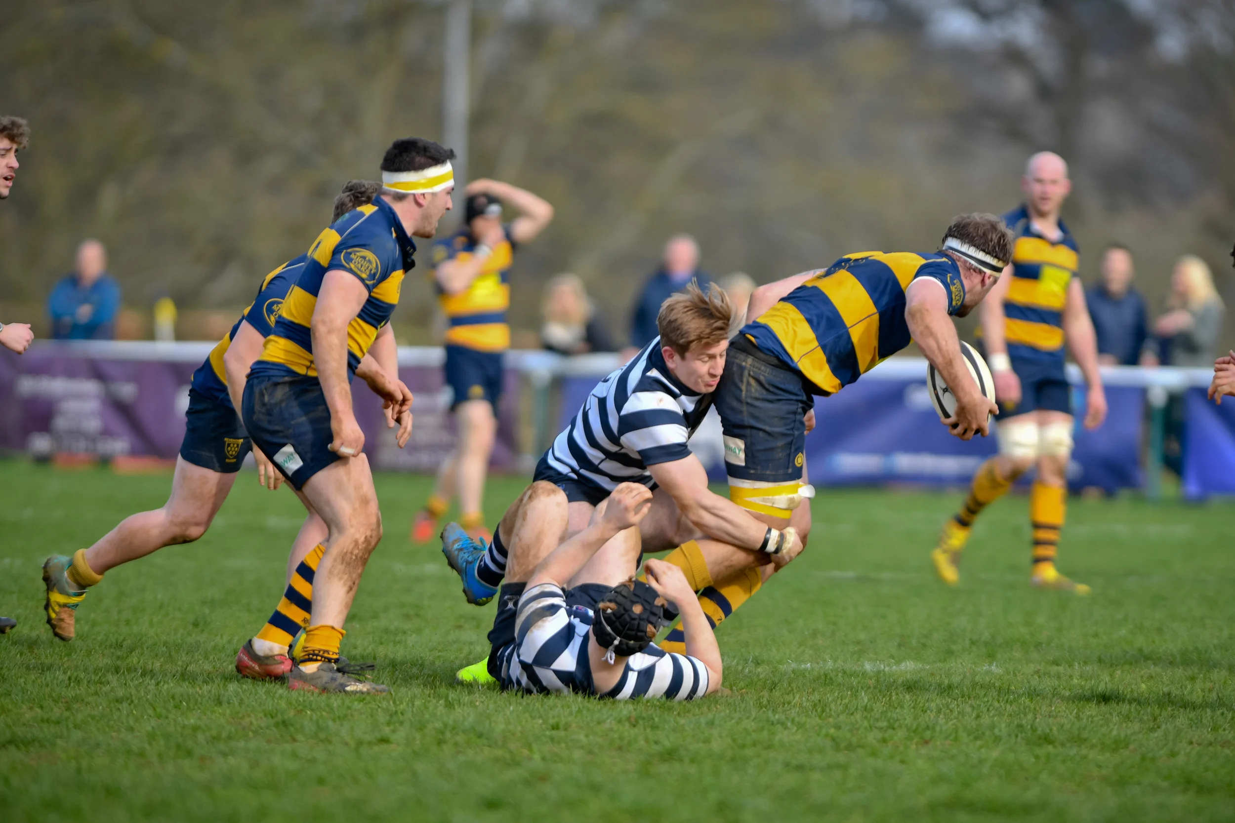 STA_0173.jpg