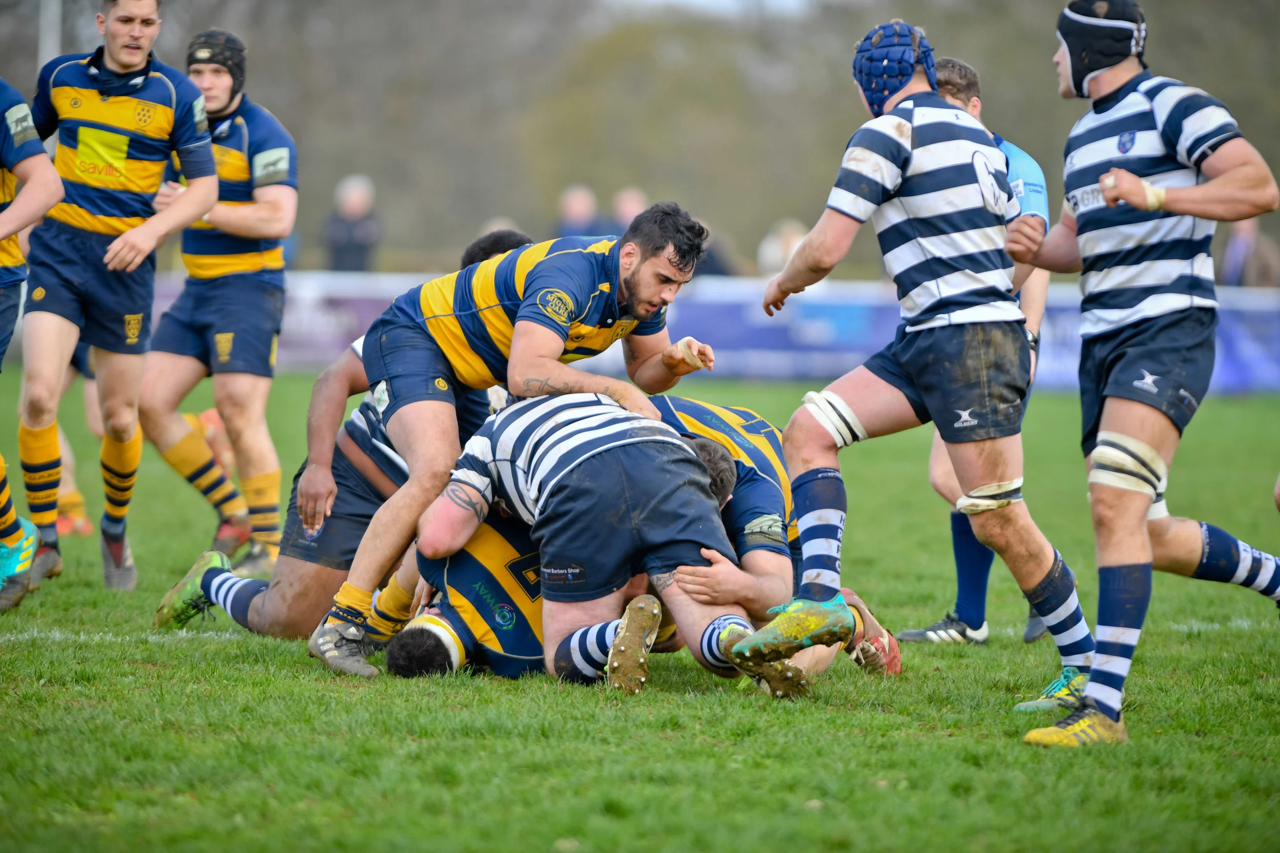 STA_0234.jpg