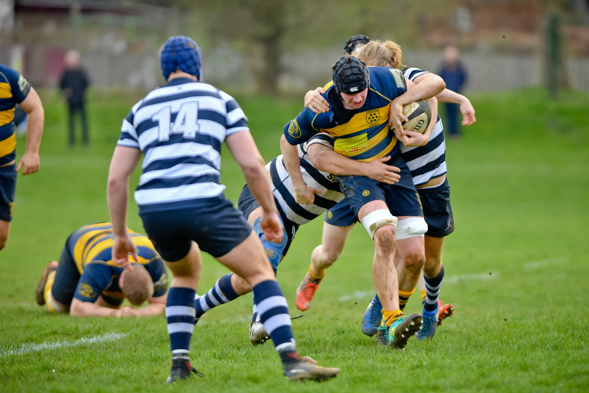 STA_0302.jpg