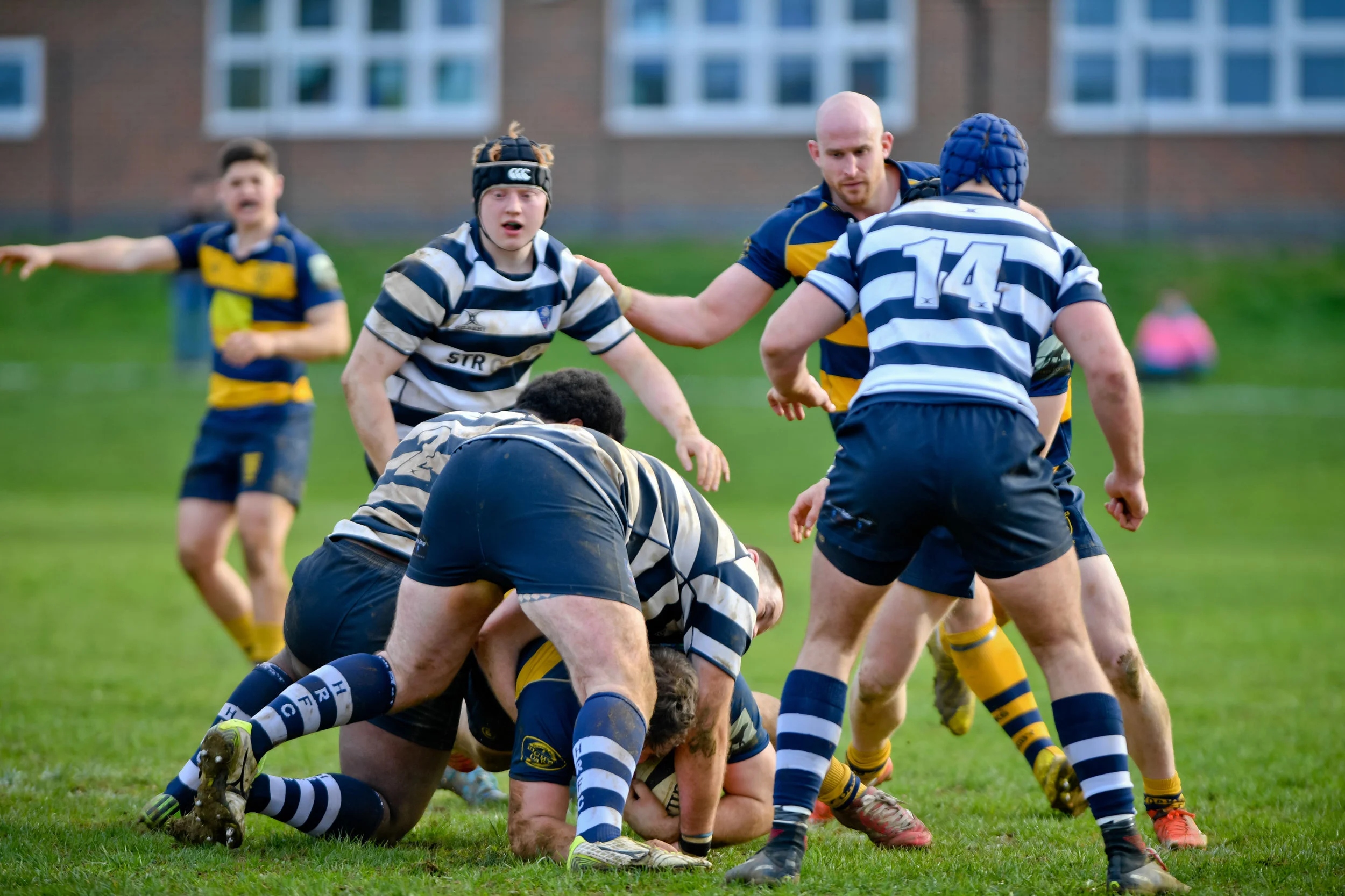 STA_0357.jpg