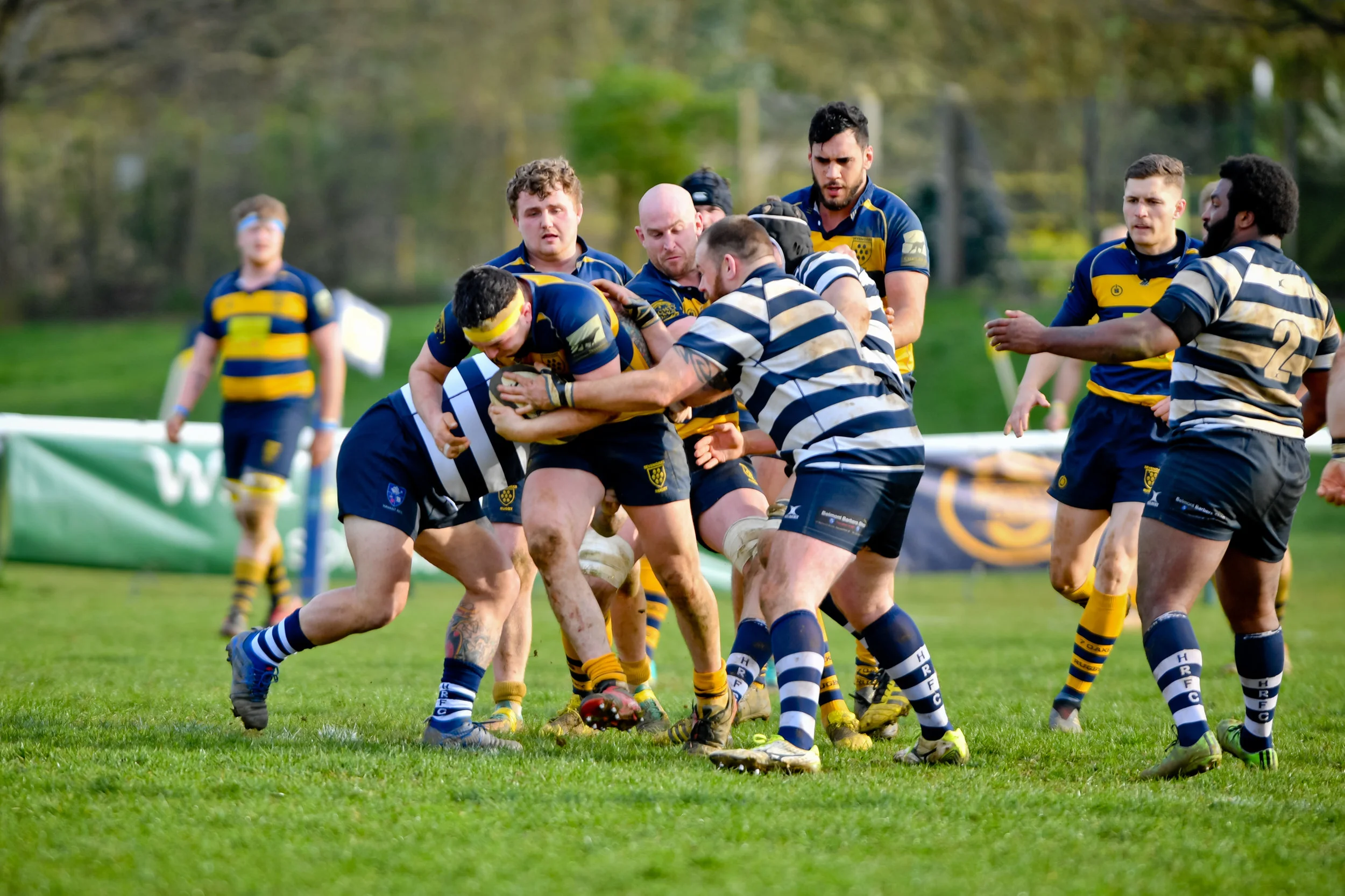 STA_0415.jpg
