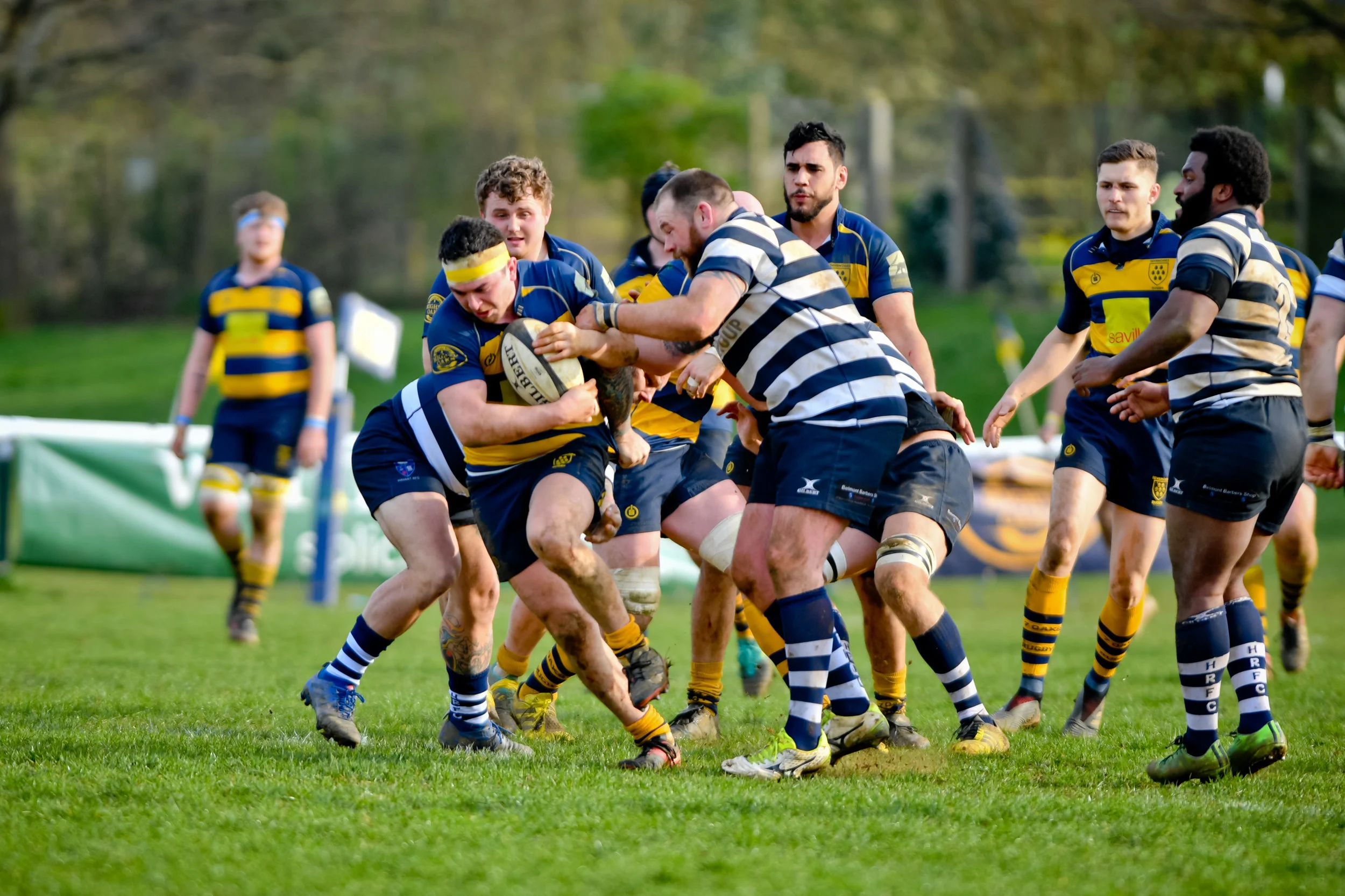 STA_0417.jpg