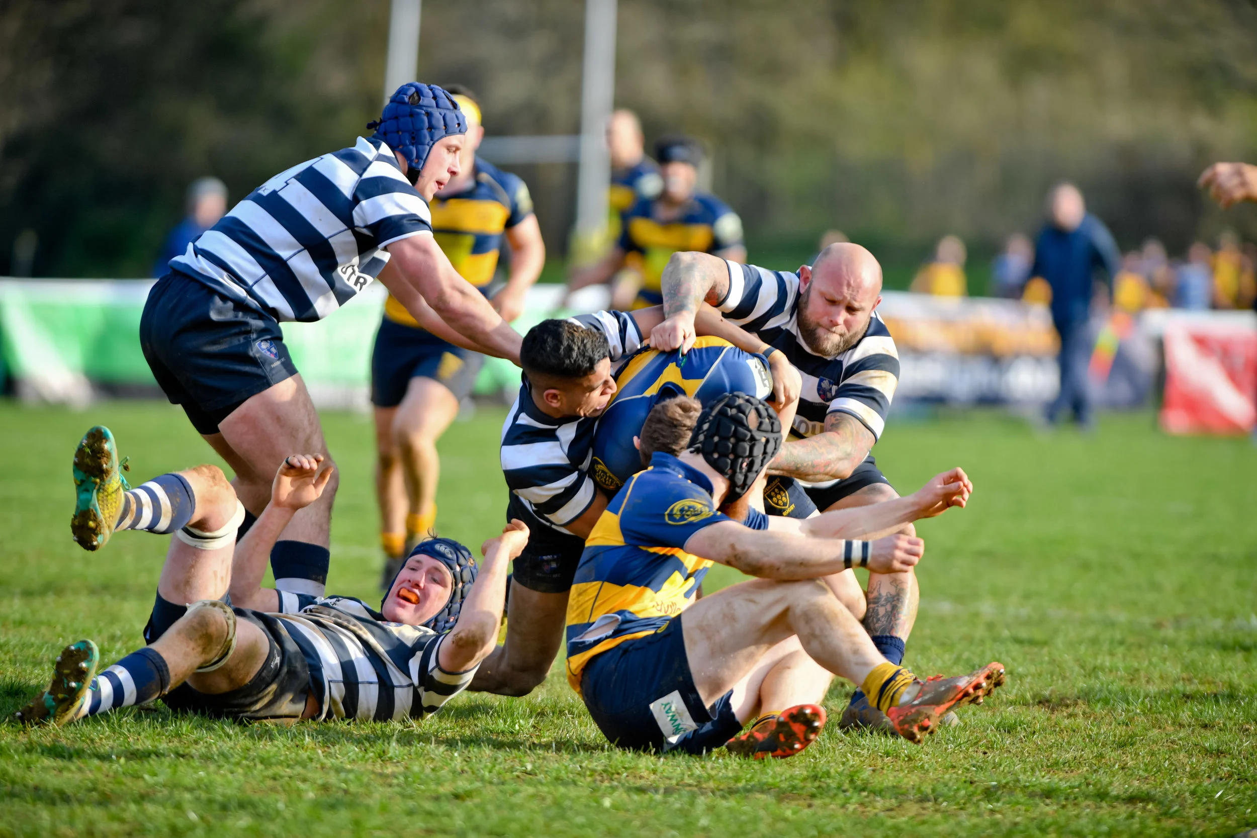 STA_0489.jpg