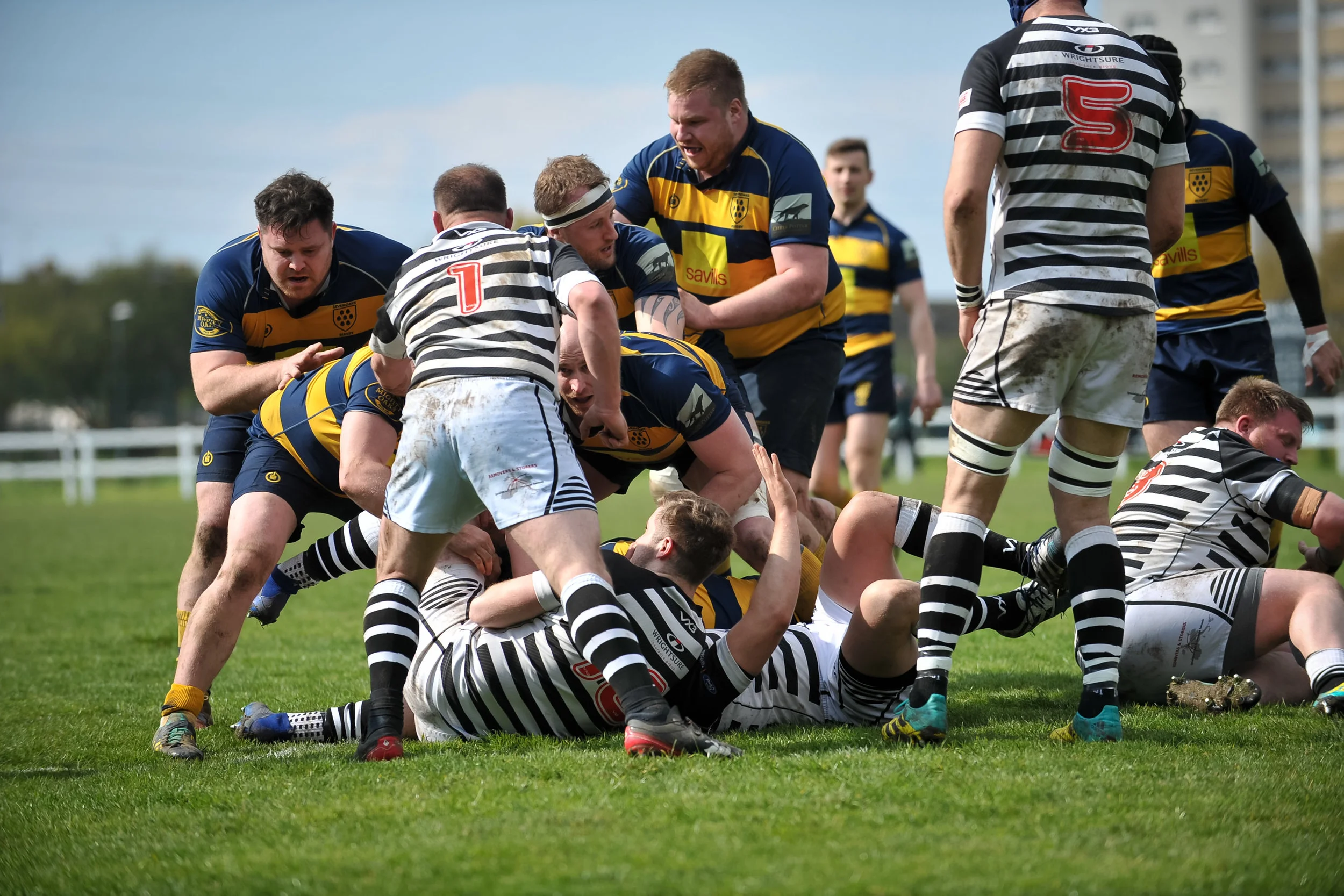 DSC_1844.jpg