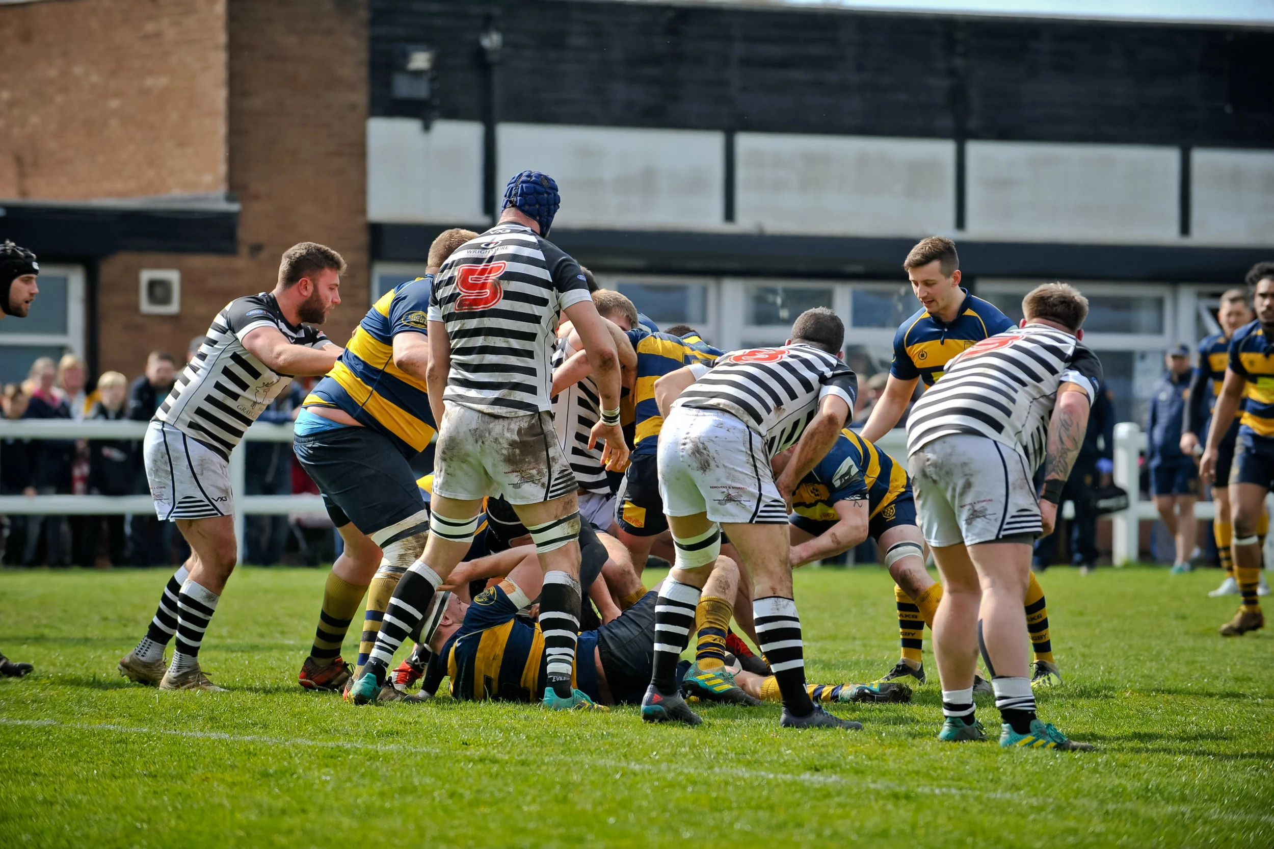 DSC_1848.jpg
