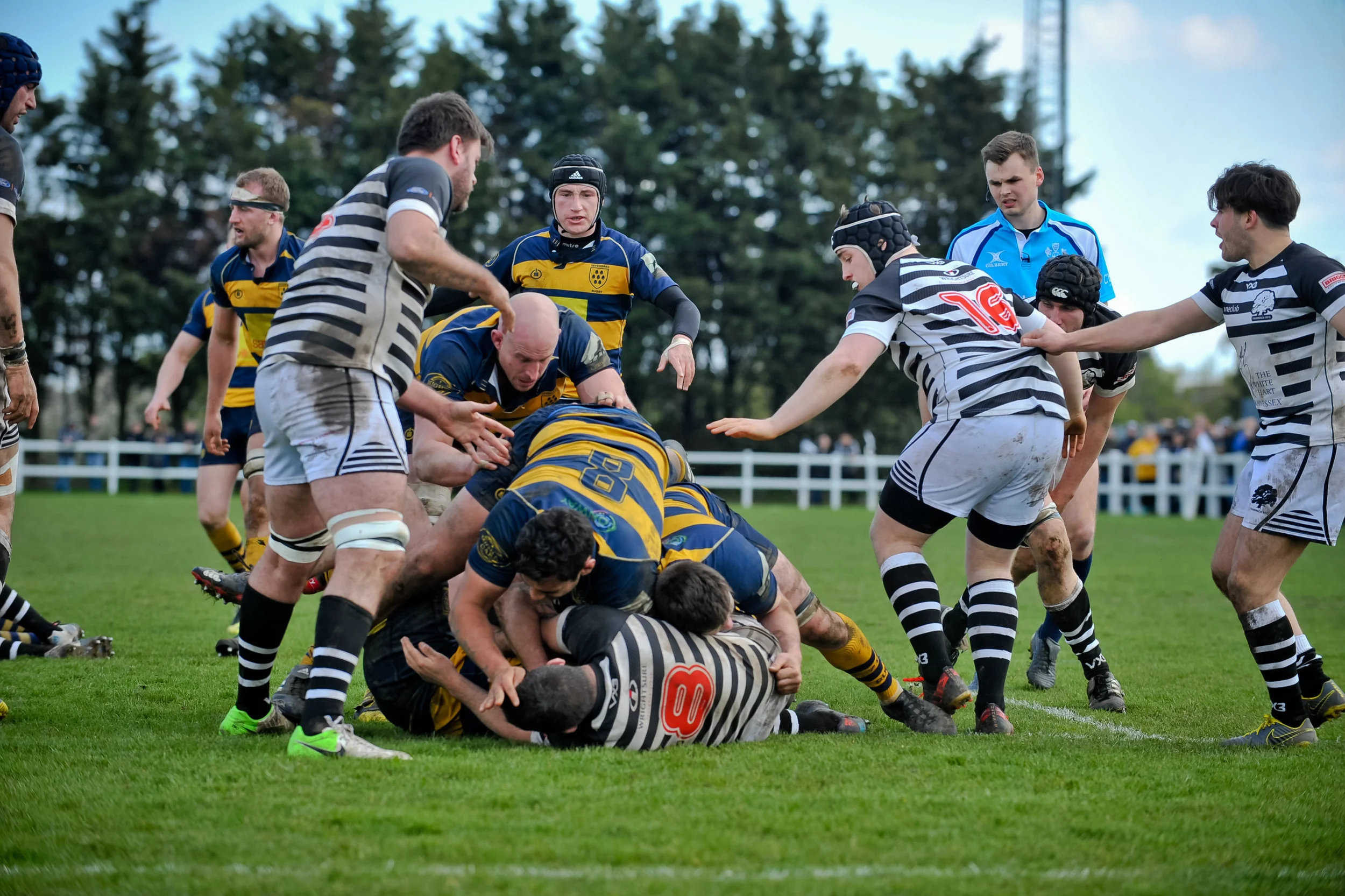 DSC_1913.jpg
