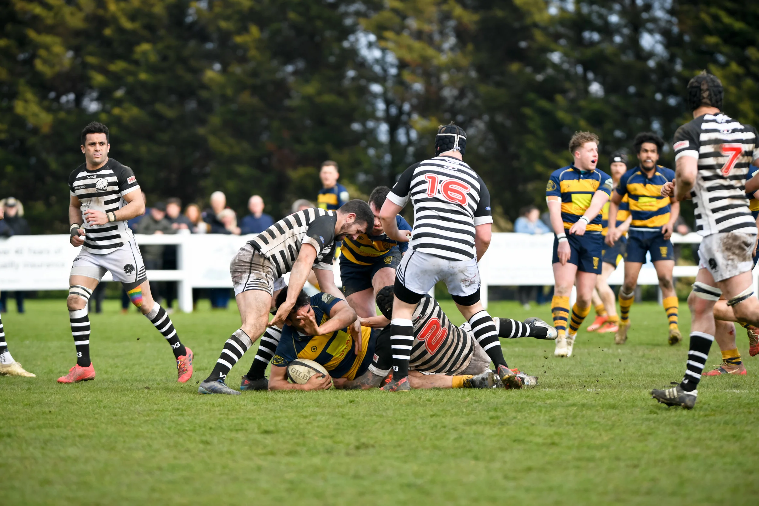 STA_1143.jpg
