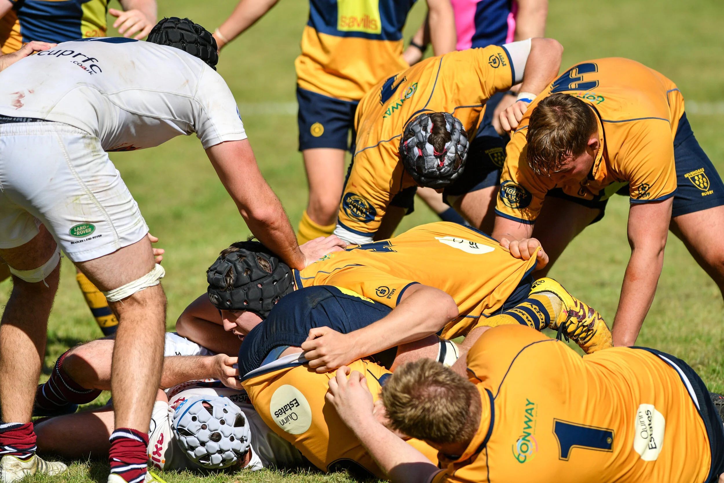 First Xv - London Irish Wild Geese - Home