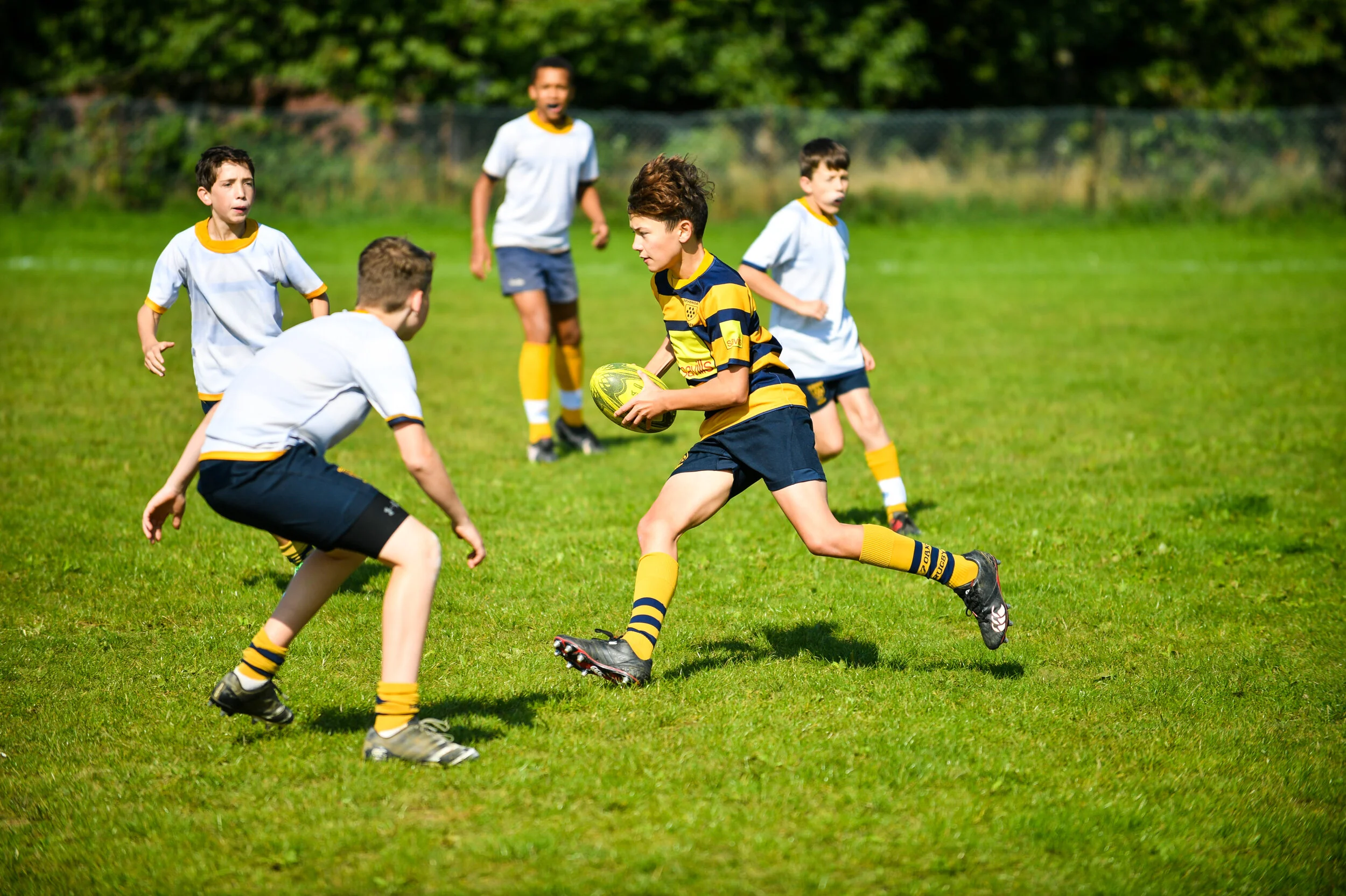 Junior and Mini rugby update