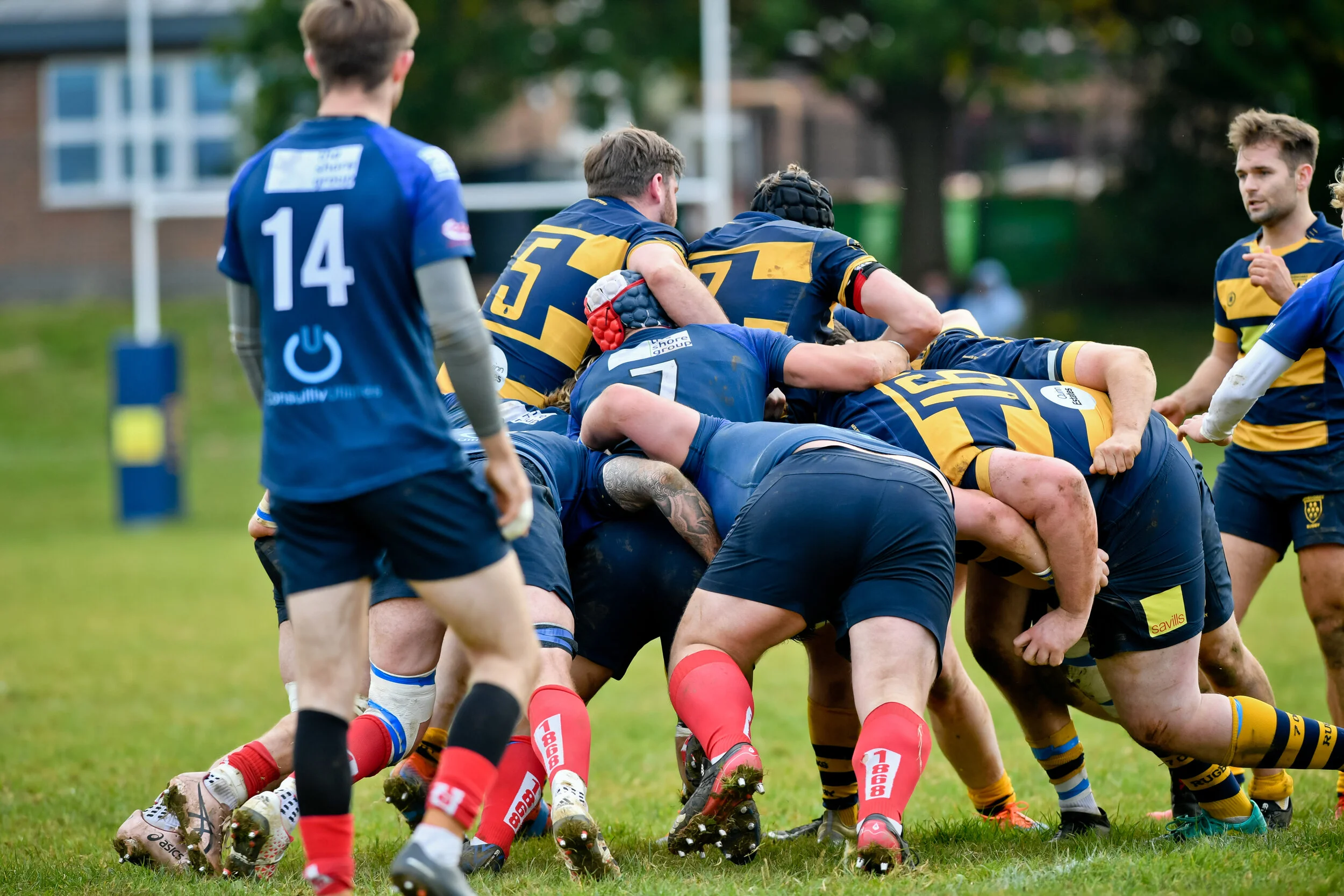 OAKS V BRIGHTON-29.JPG