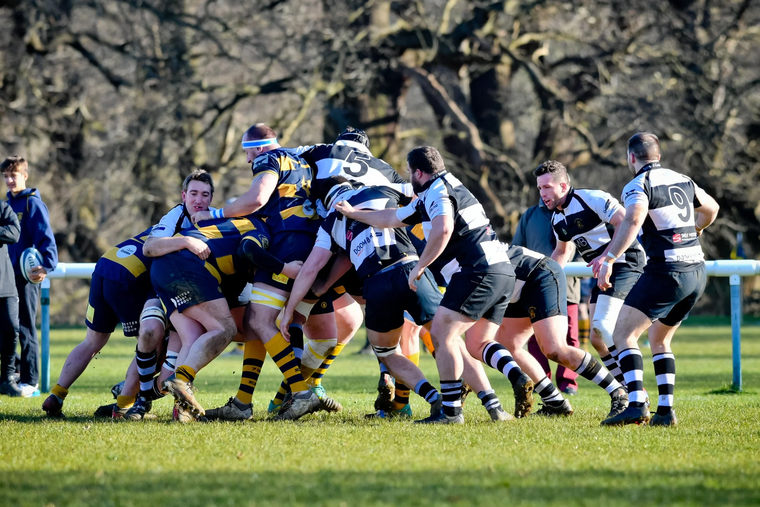 OAKS V SUTTON & EPSOM-10.JPG
