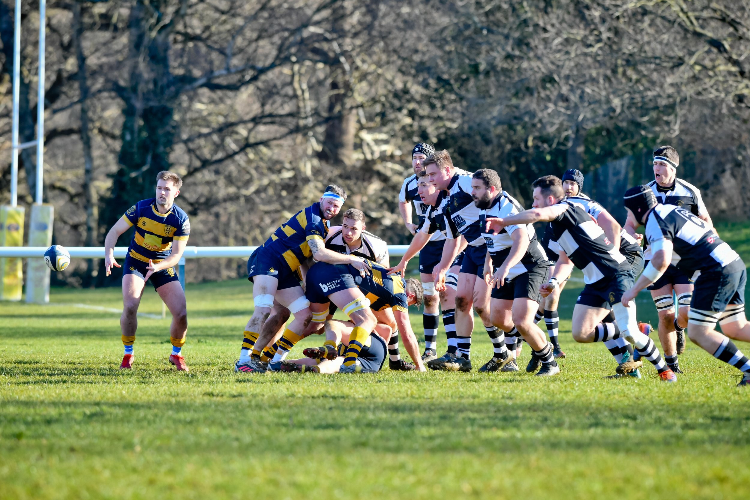 OAKS V SUTTON & EPSOM-14.JPG