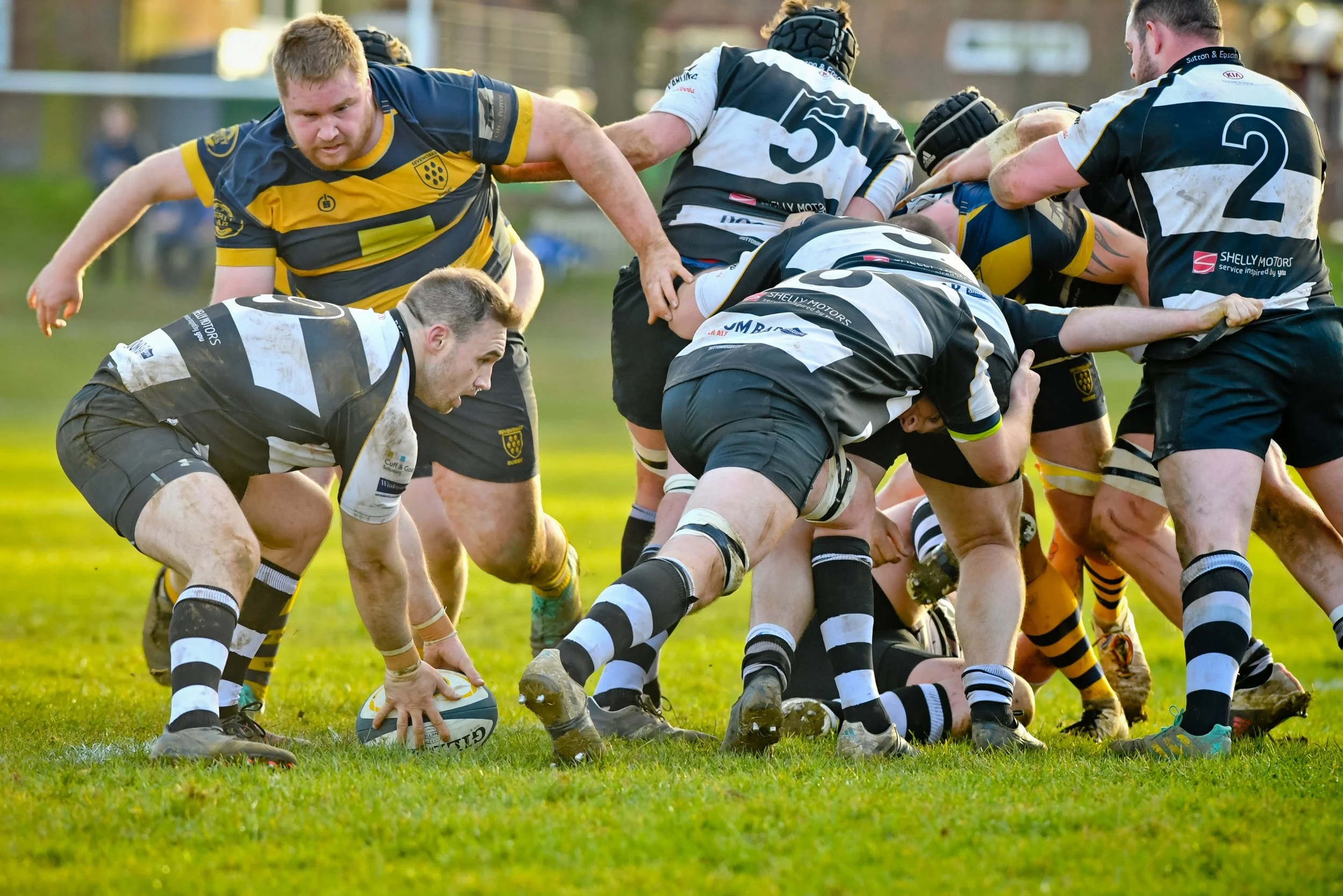 OAKS V SUTTON & EPSOM-74.JPG