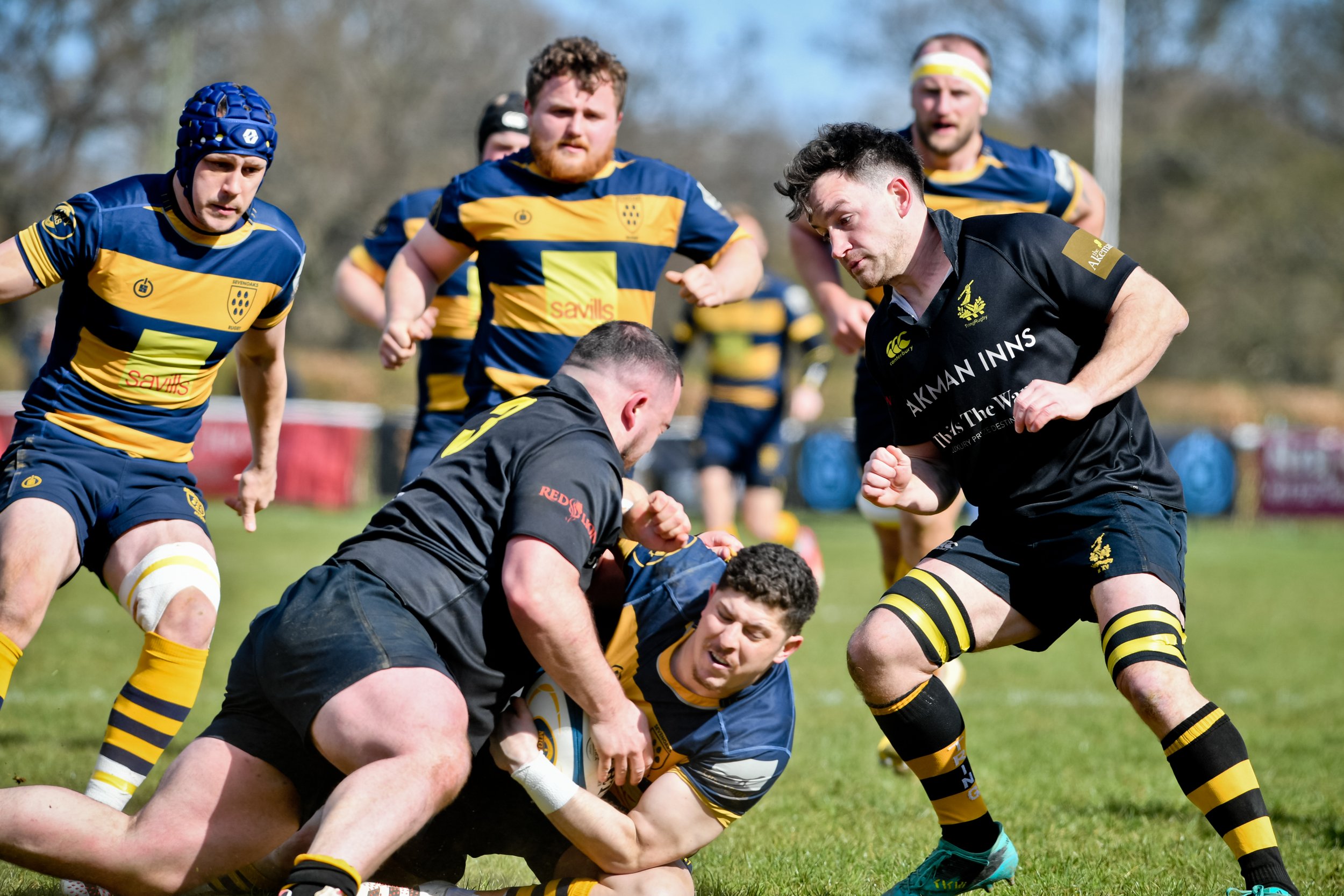 OAKS V TRING-3.JPG