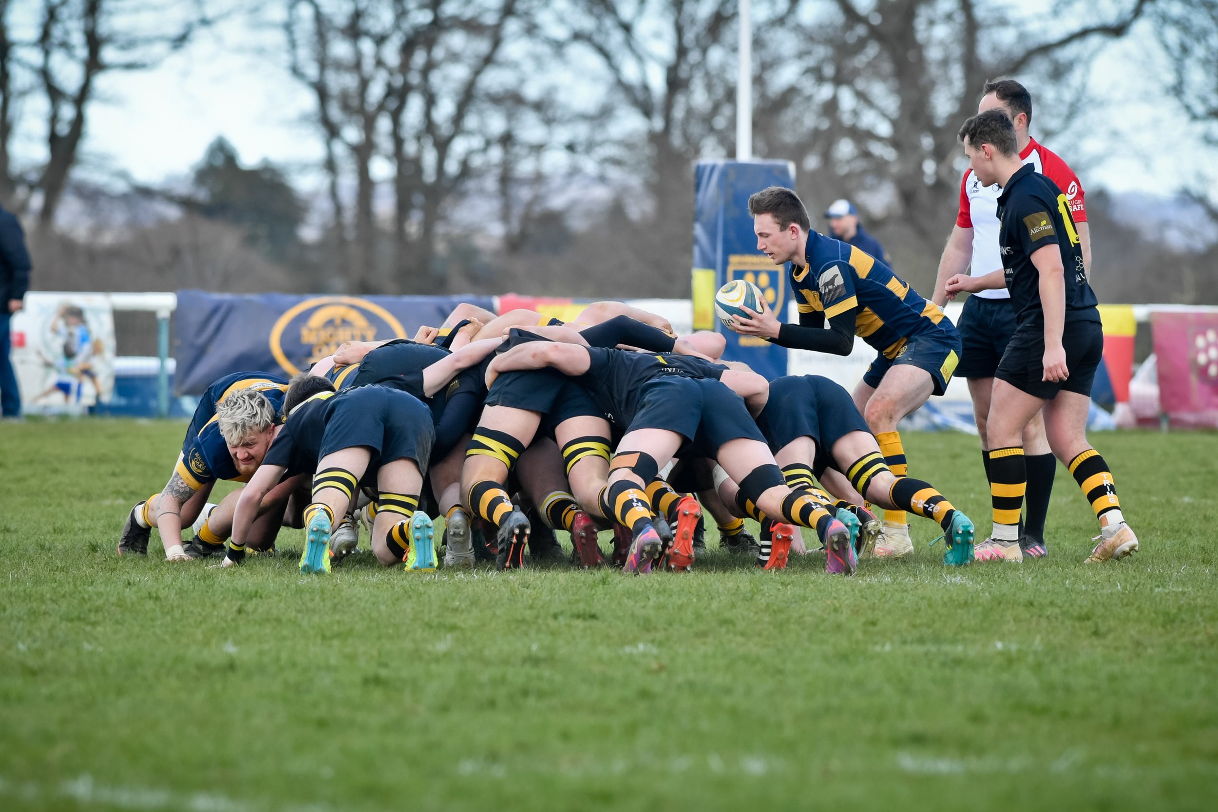 OAKS V TRING-16.JPG