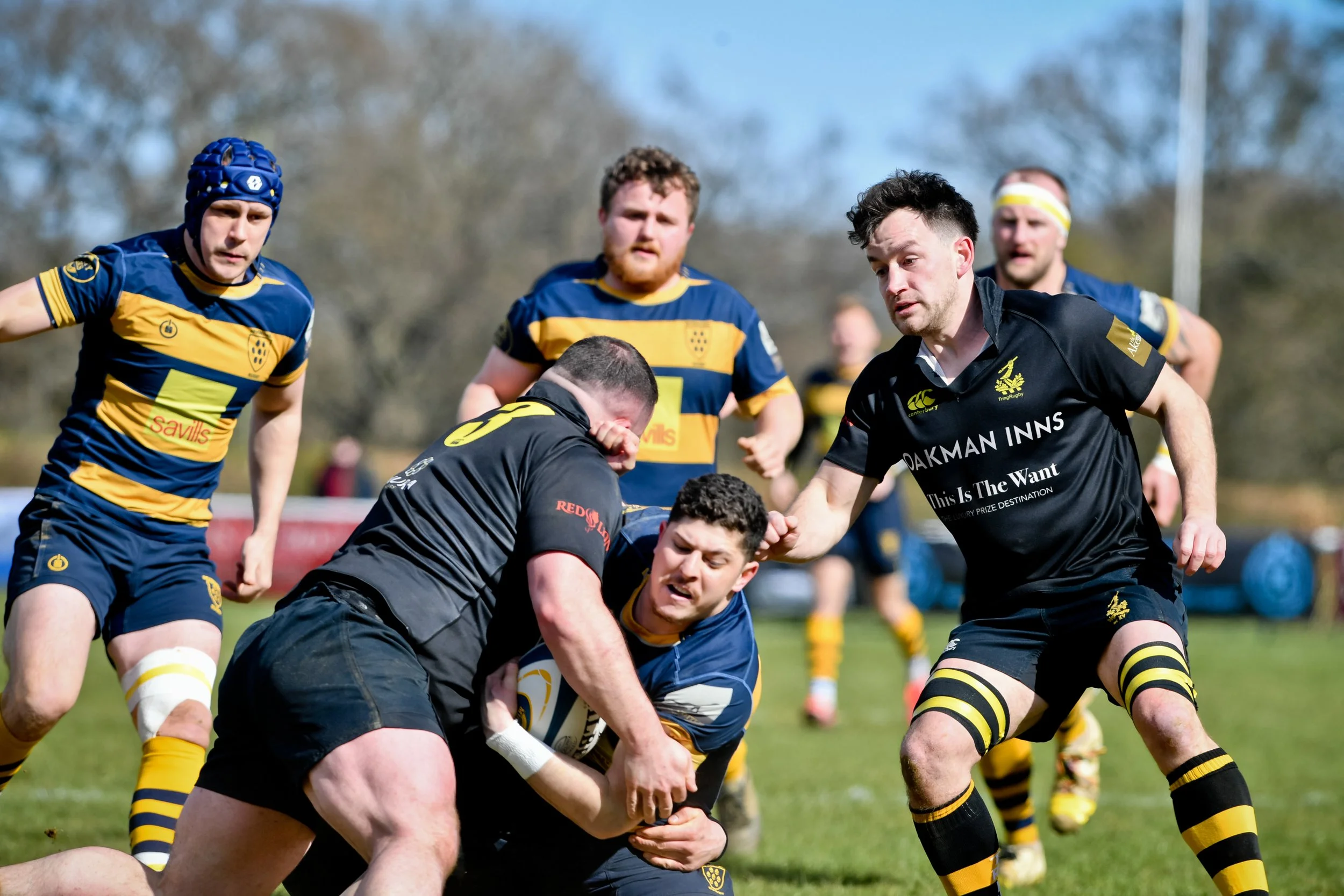 OAKS V TRING-2.JPG