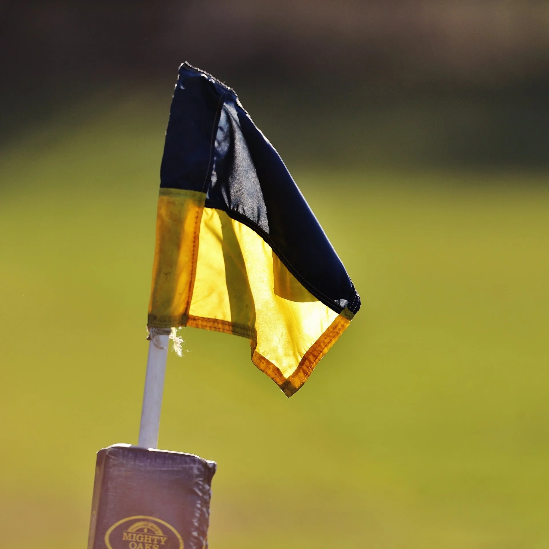 MINI & YOUTH COACHES UPDATE - WEEK 6