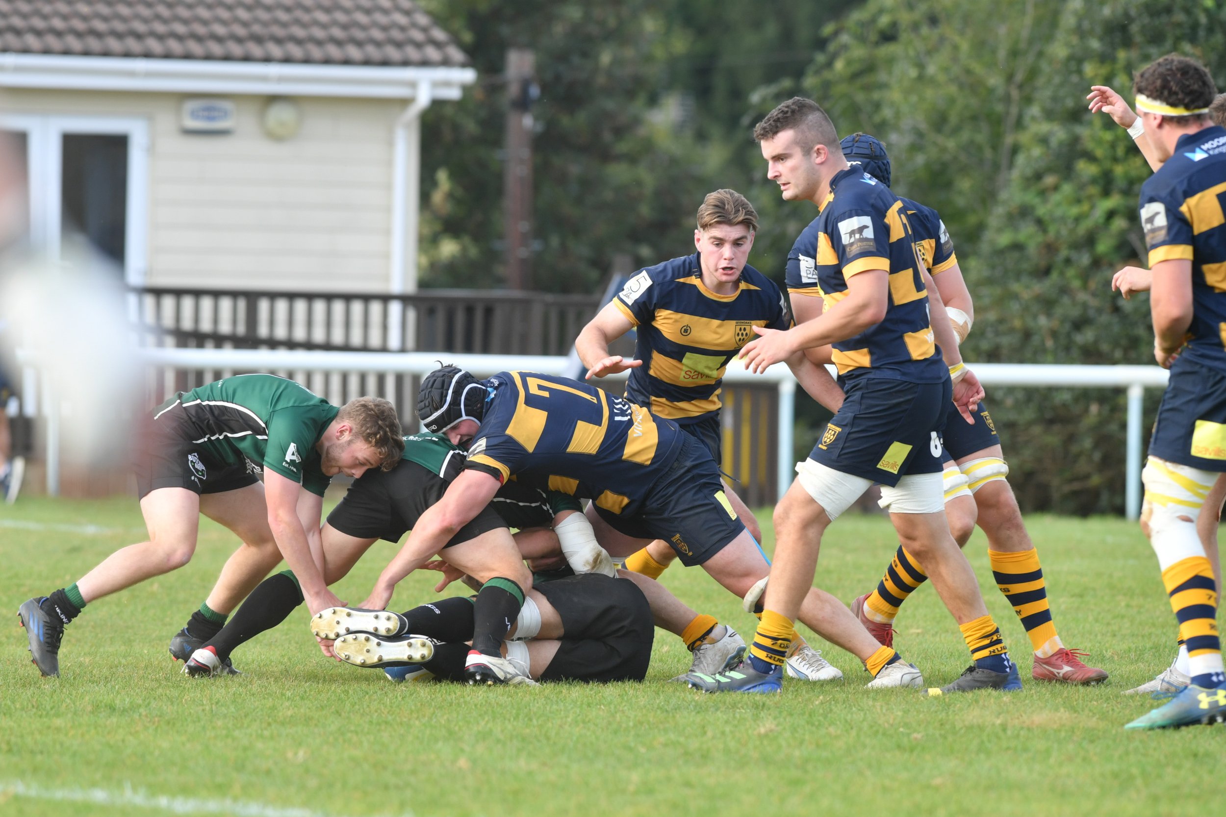 OAKS  V N WALSHAM 7.10.23055.JPG