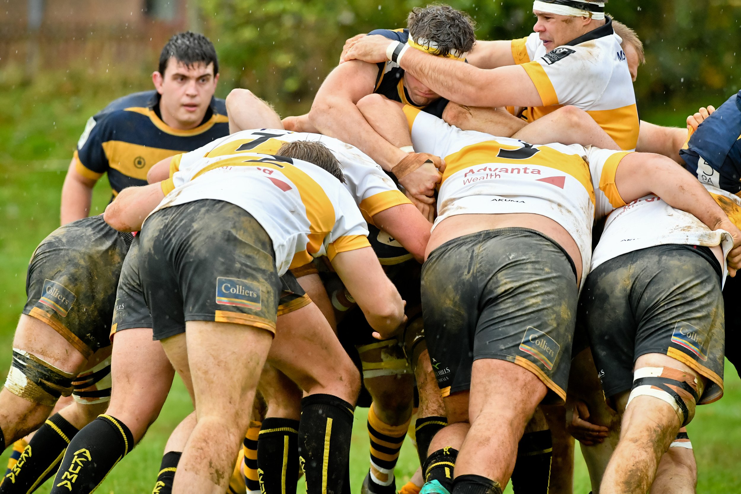 SEV V ESHER-7.JPG