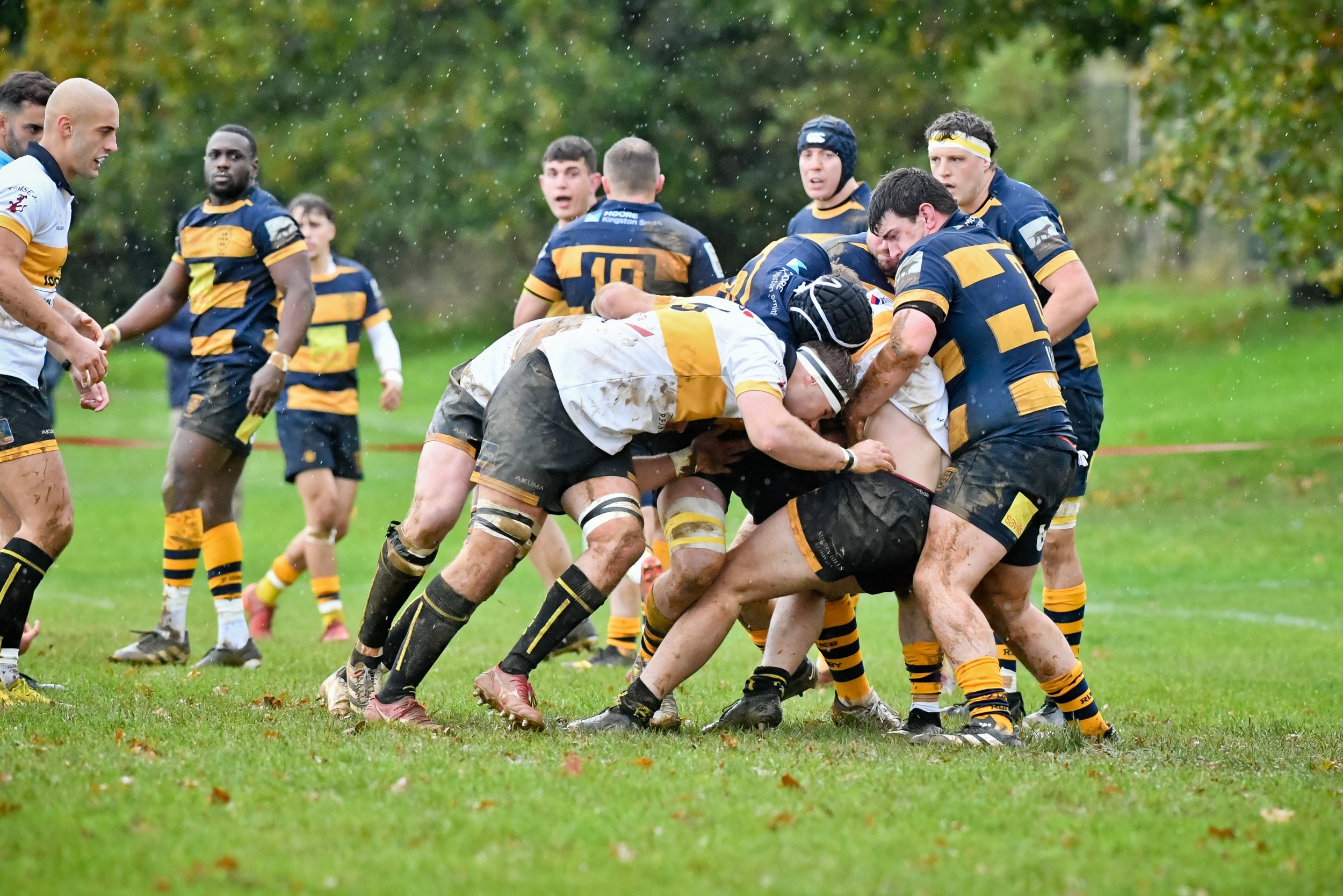 SEV V ESHER-11.JPG