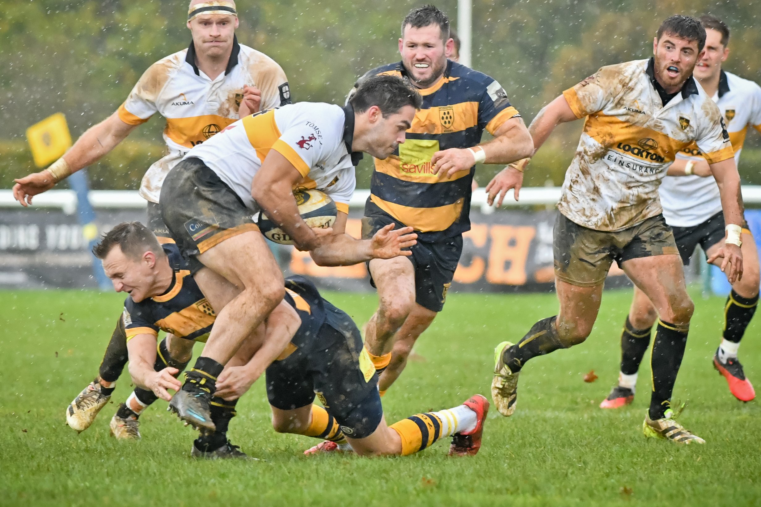 SEV V ESHER-14.JPG