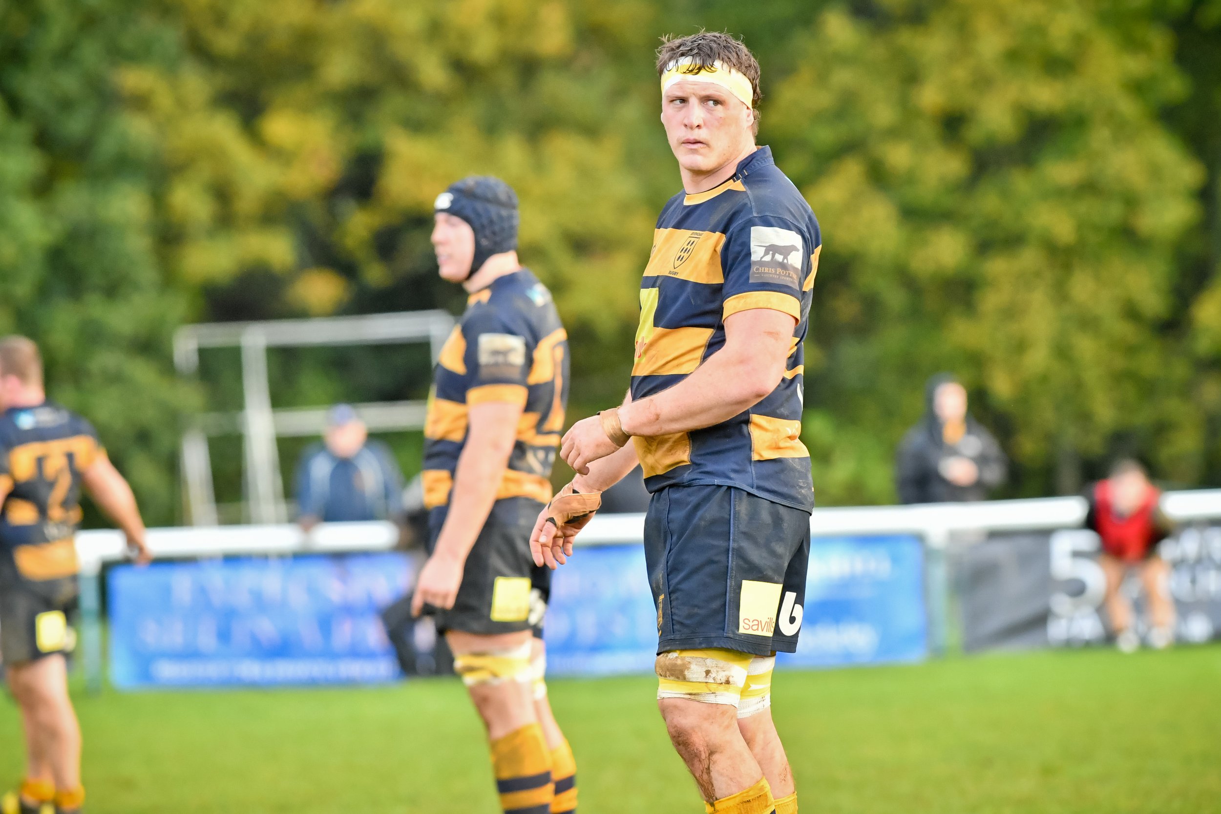 SEV V ESHER-21.JPG