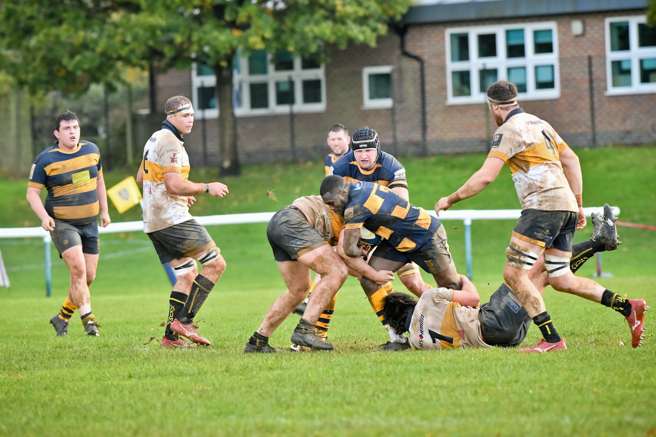 SEV V ESHER-22.JPG